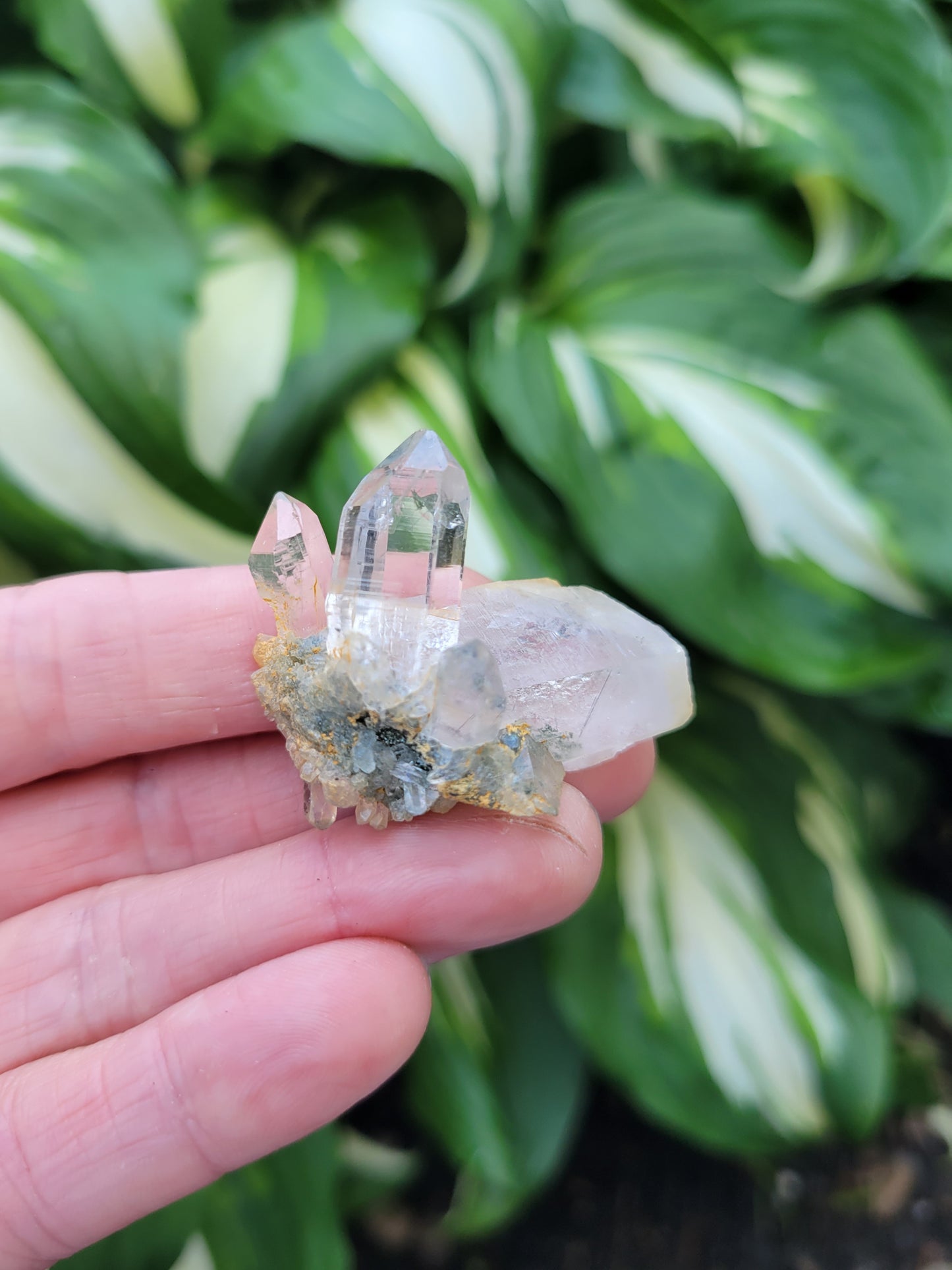 Quartz Cluster (Smokey and Clear Himalayan) Parcel from Himalchal Pradesh, India