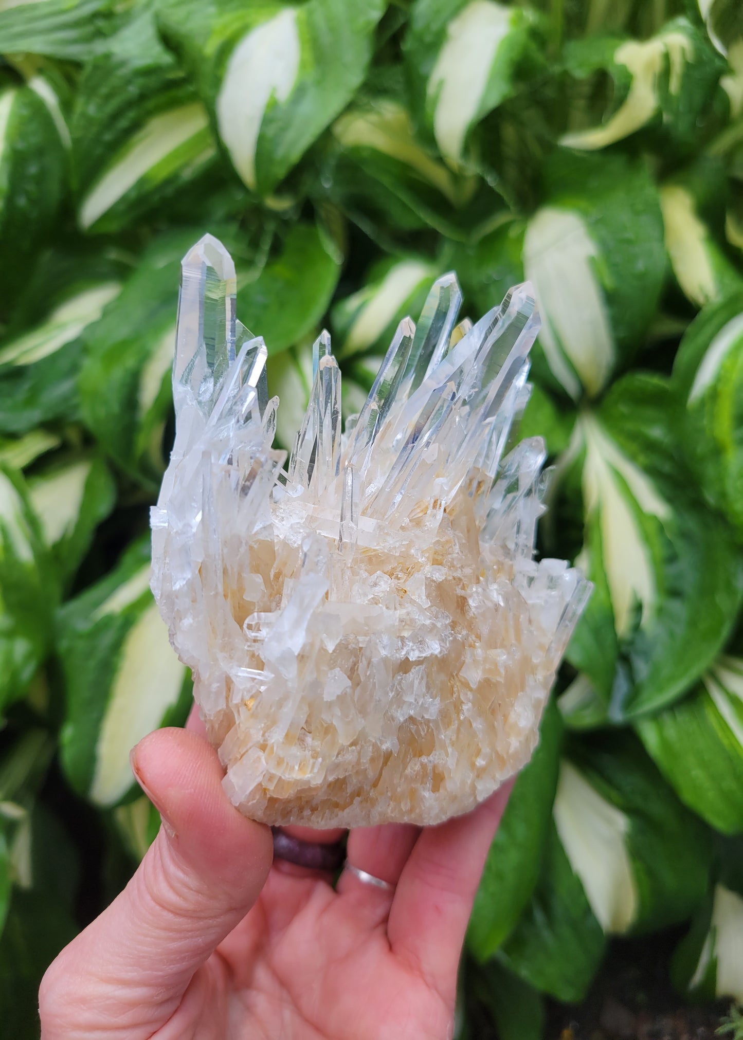 Quartz Cluster from Santander, Colombia