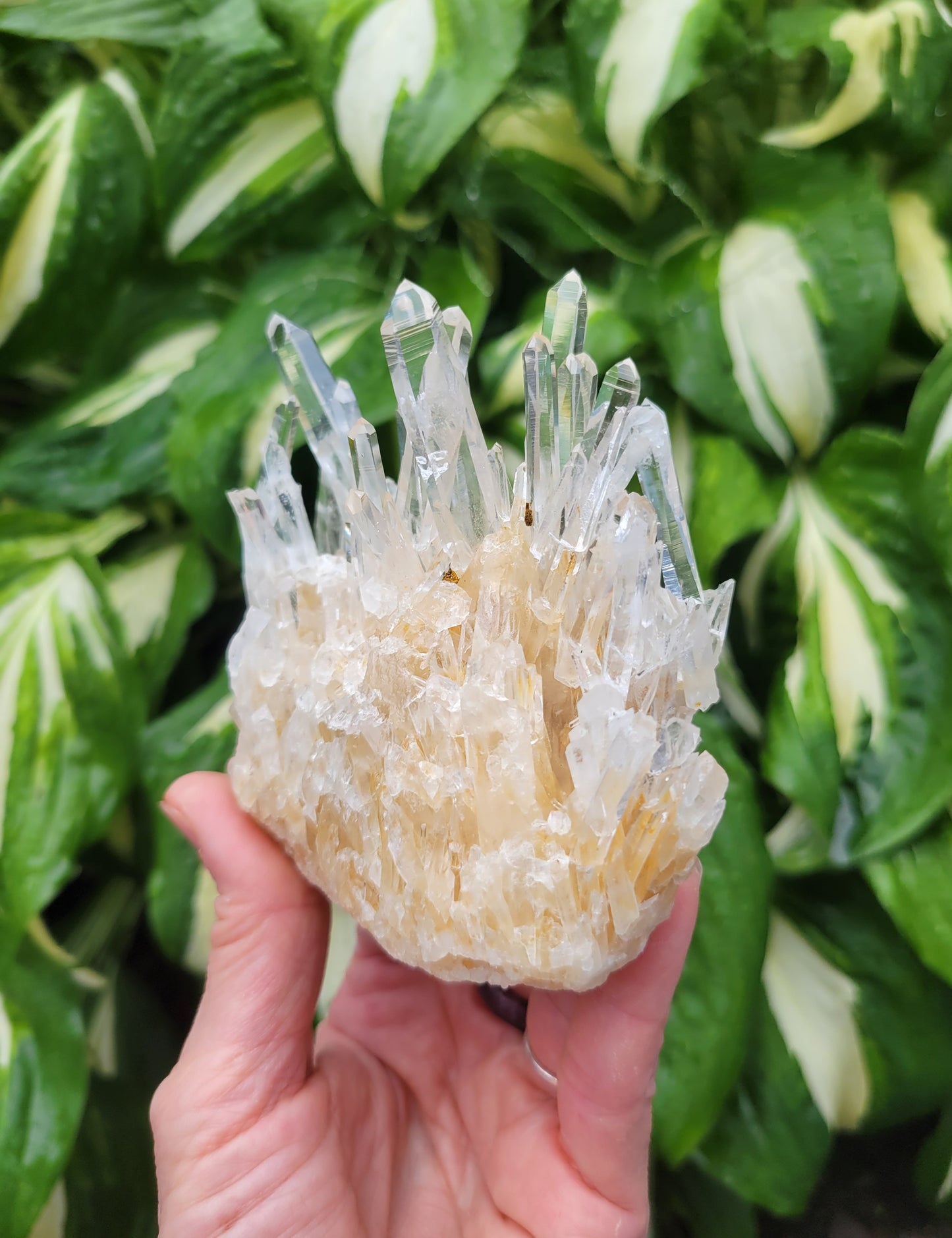 Quartz Cluster from Santander, Colombia