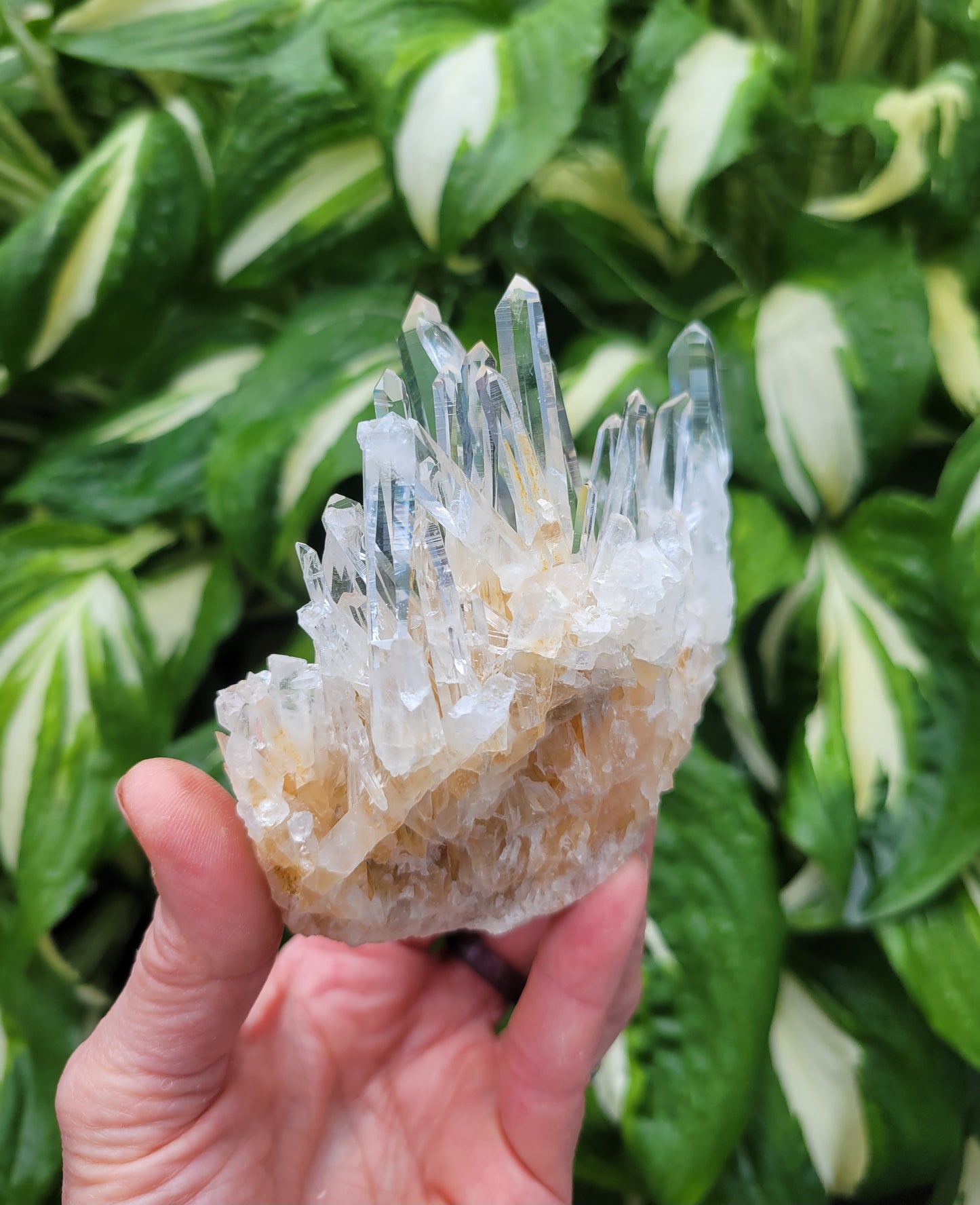 Quartz Cluster from Santander, Colombia