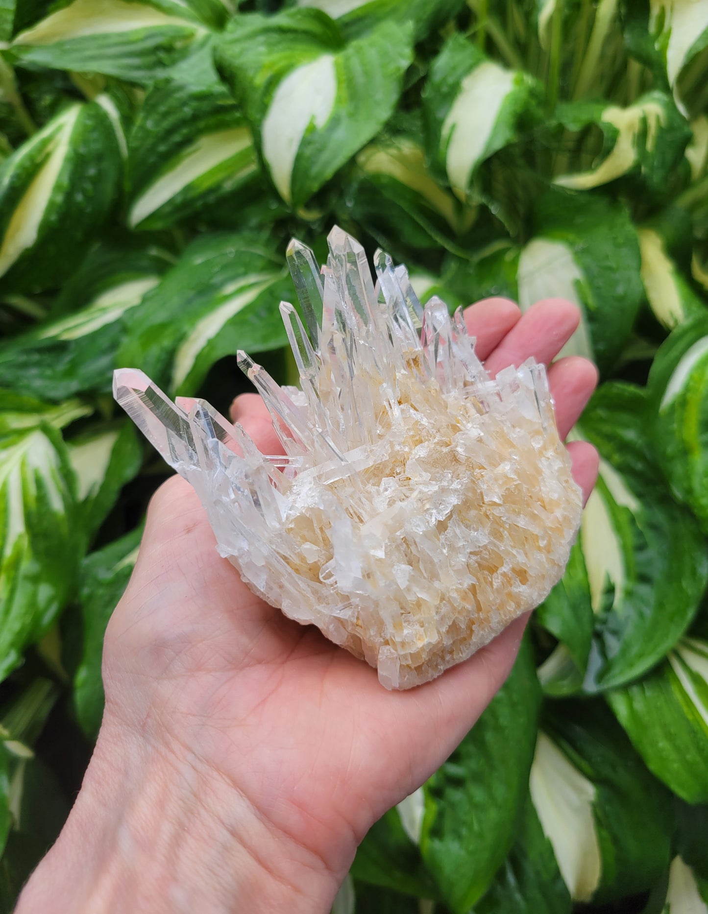 Quartz Cluster from Santander, Colombia