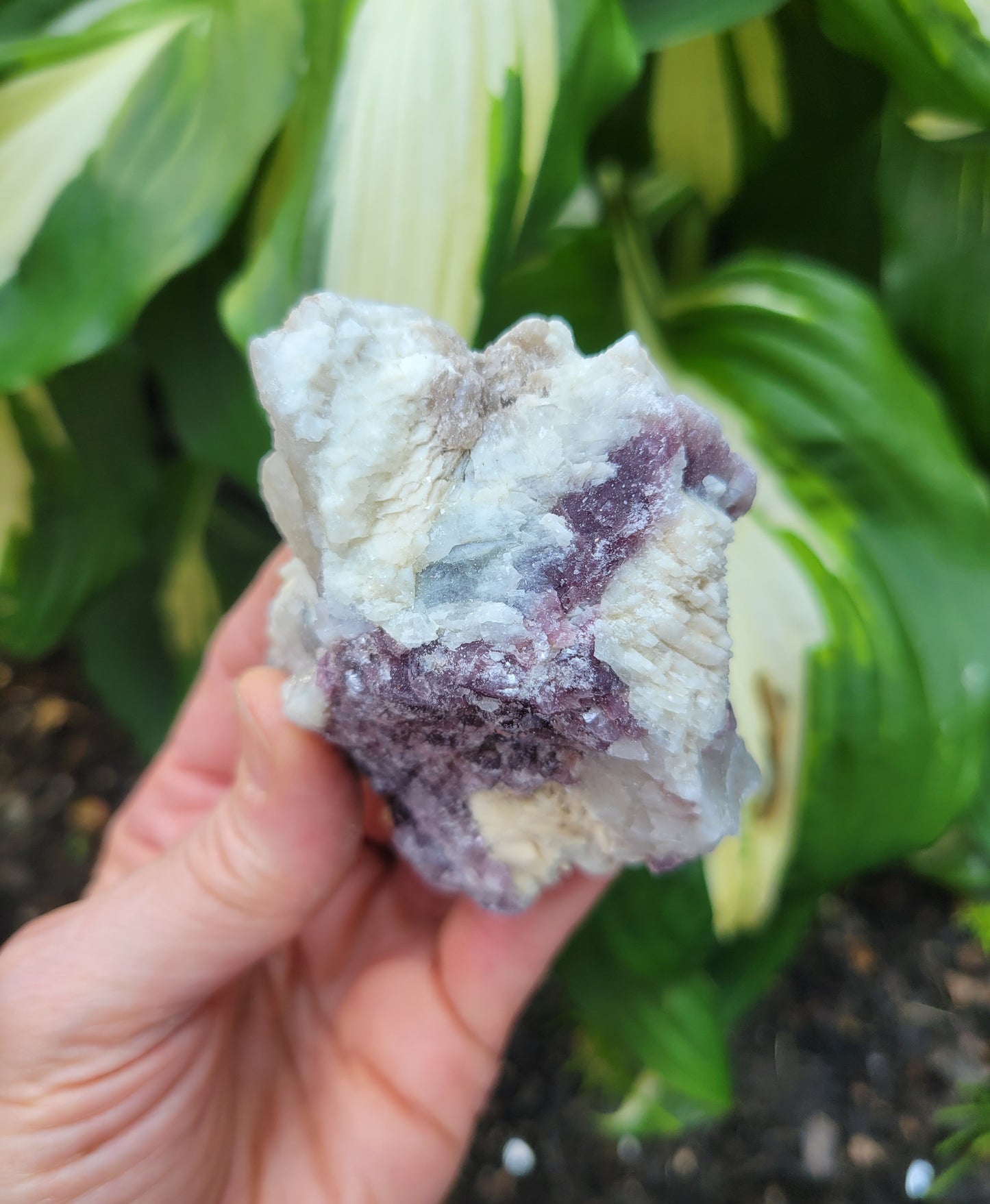 Lepidolite with Smokey Quartz and Albite from Brazil