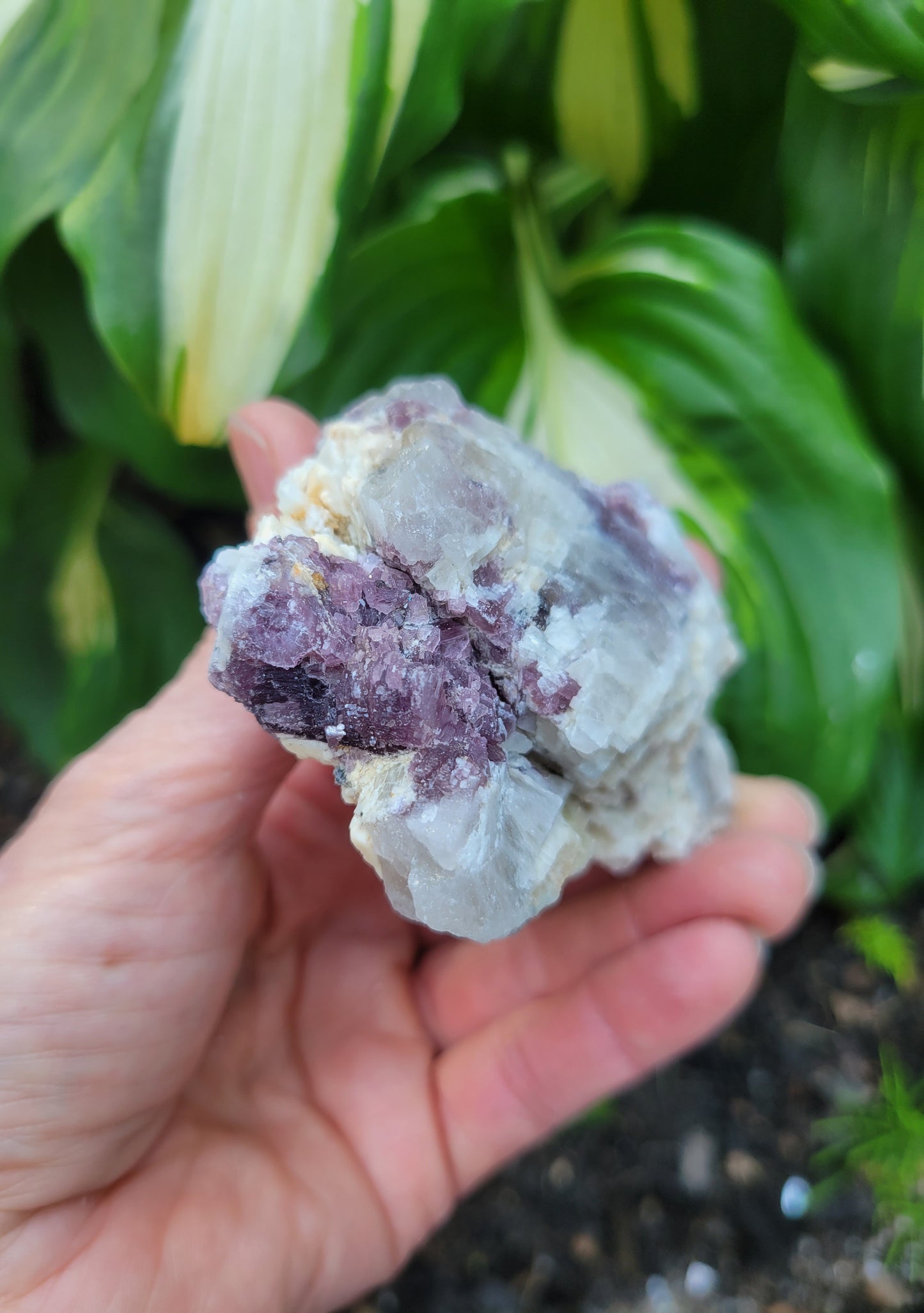 Lepidolite with Smokey Quartz and Albite from Brazil