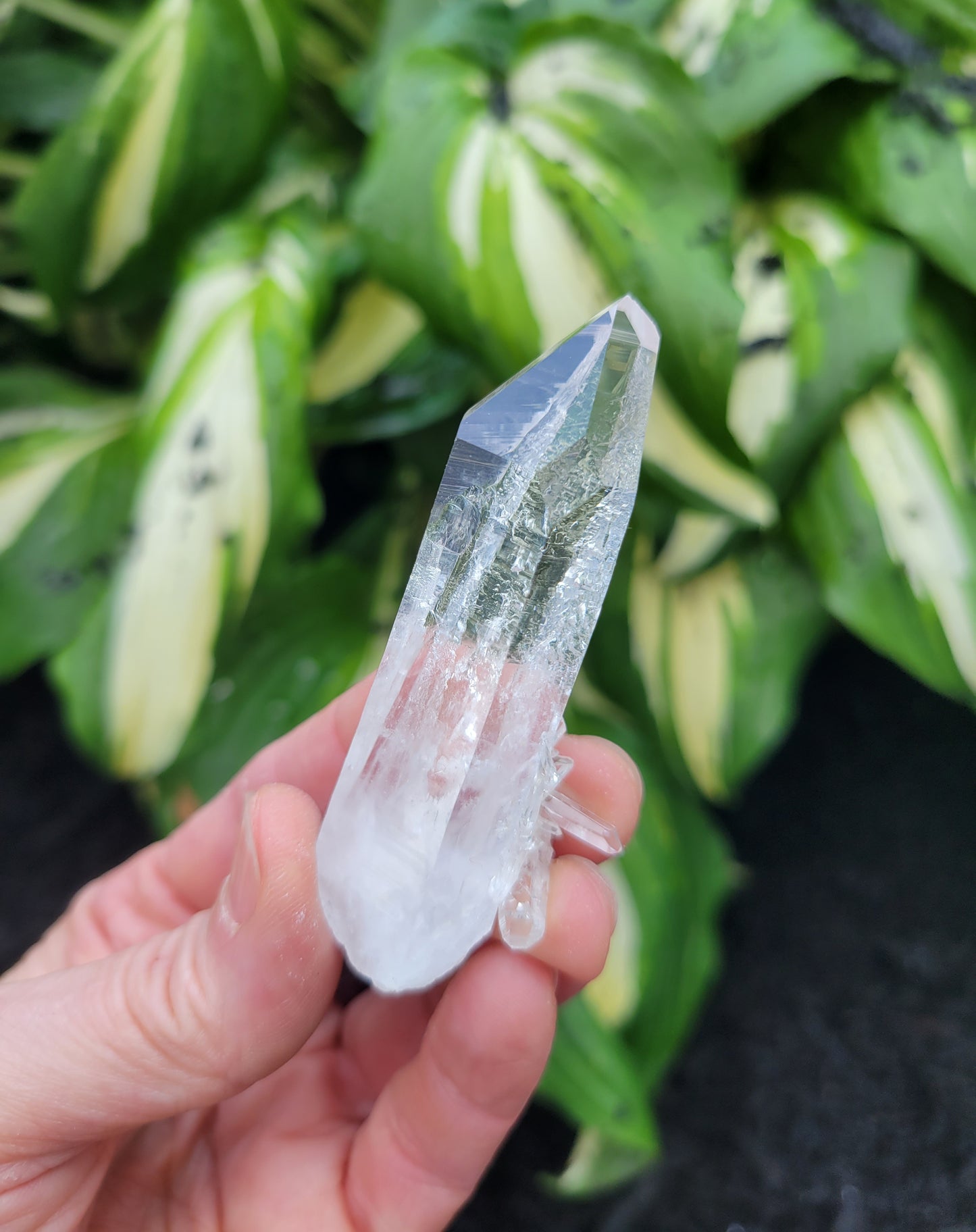 Quartz (Optical) from Colombia