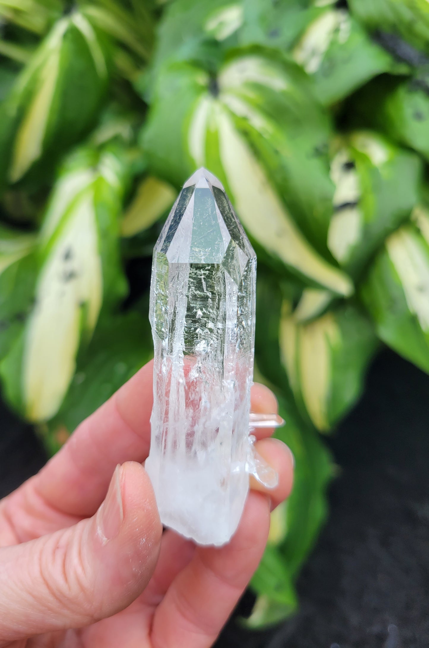 Quartz (Optical) from Colombia