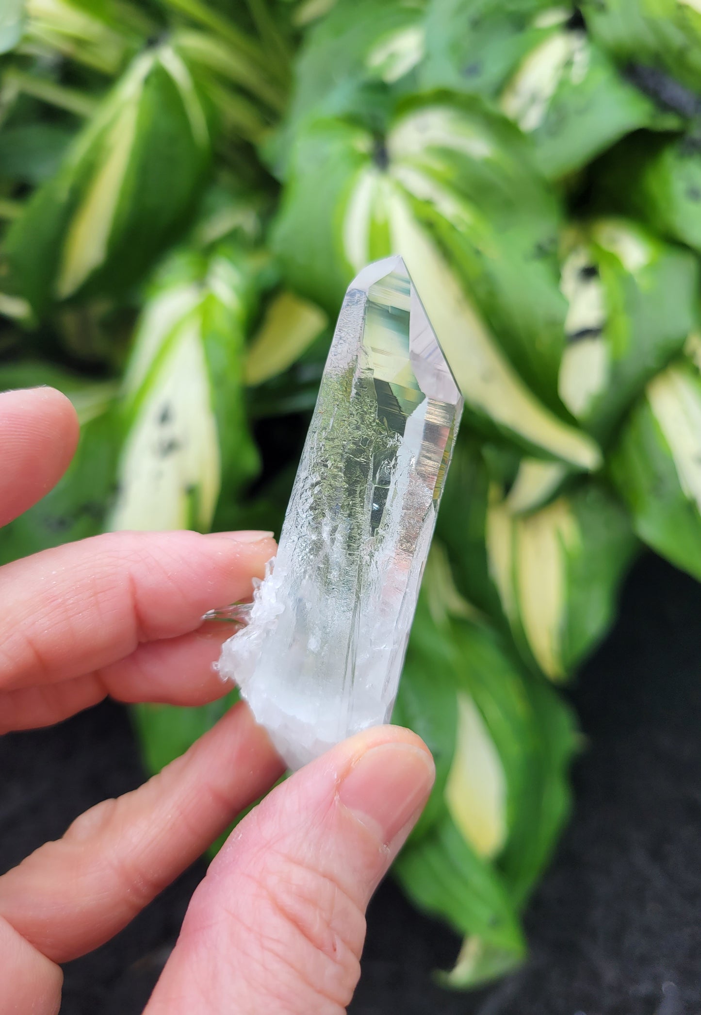 Quartz (Optical) from Colombia
