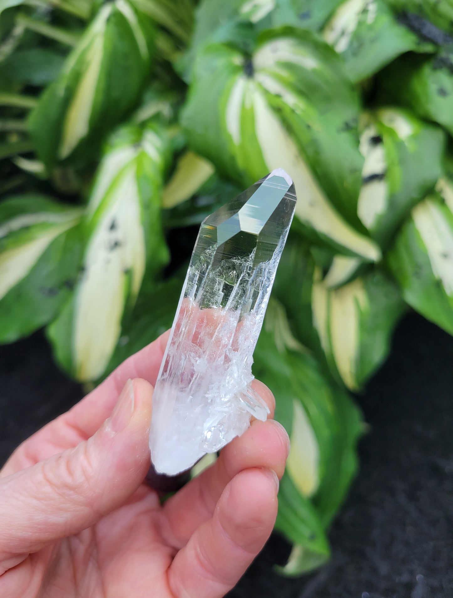 Quartz (Optical) from Colombia