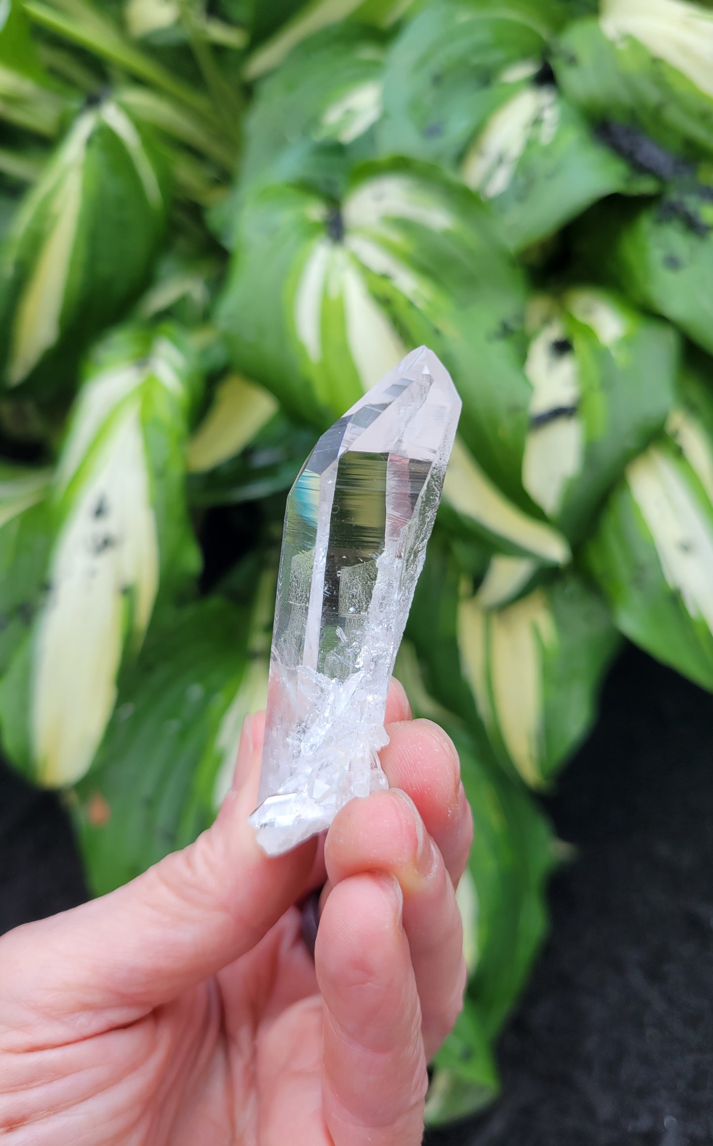 Quartz (Optical) from Colombia
