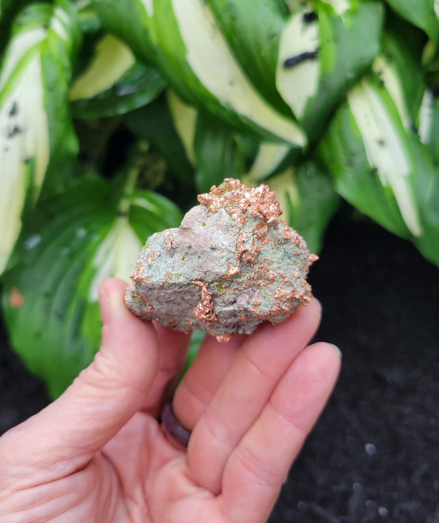 Copper Nugget from Lake Superior Copper District, Michigan