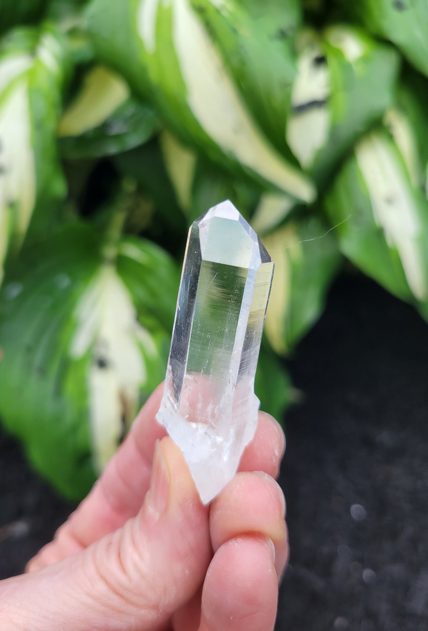 Quartz (Parcel of Six) from Colombia