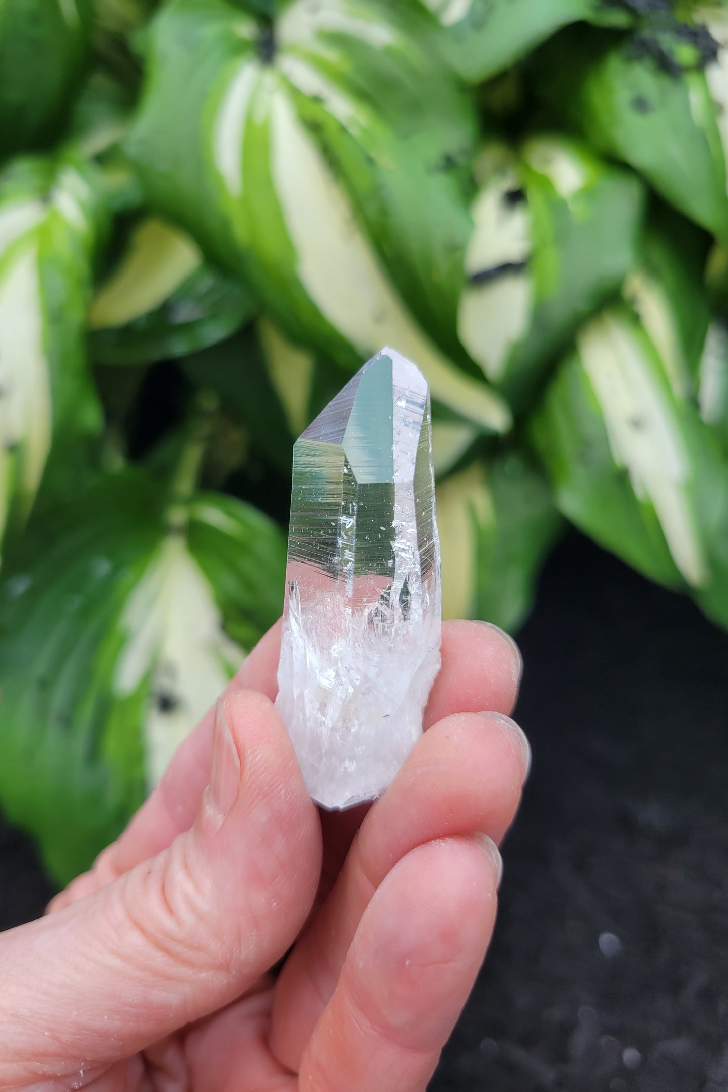 Quartz (Parcel of Six) from Colombia