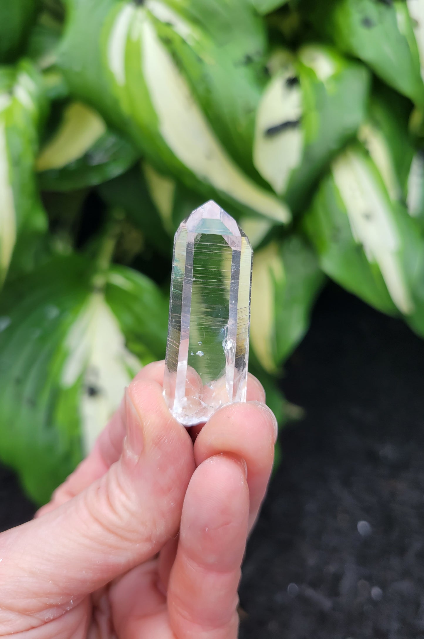 Quartz (Parcel of Six) from Colombia