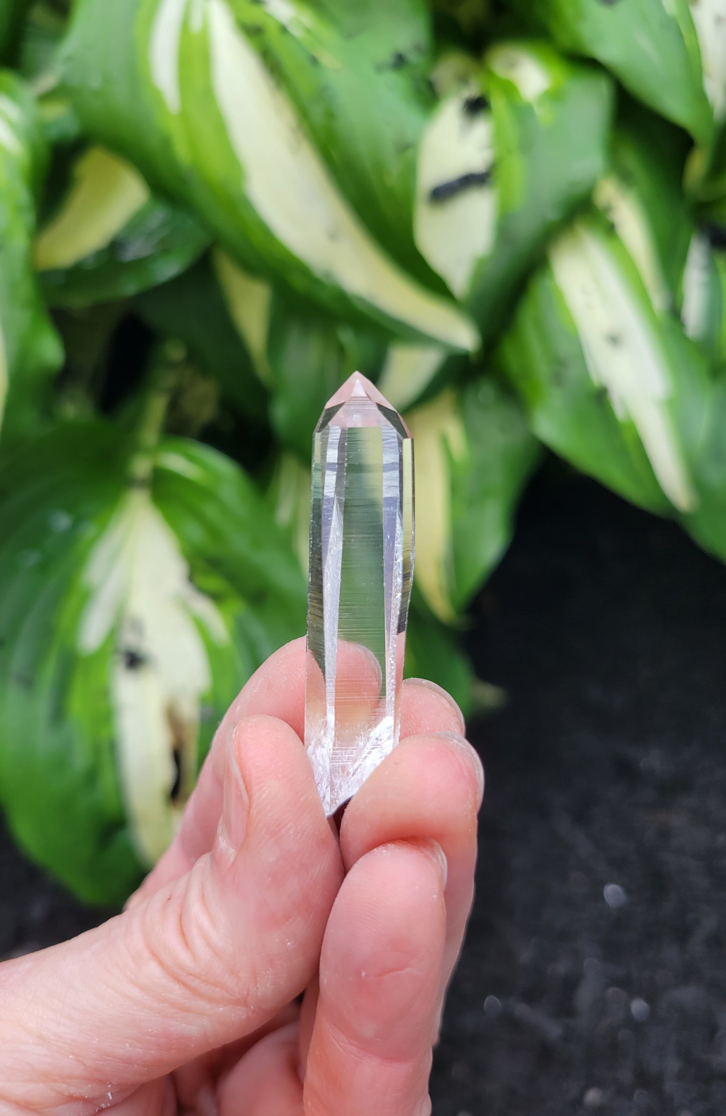 Quartz (Parcel of Six) from Colombia