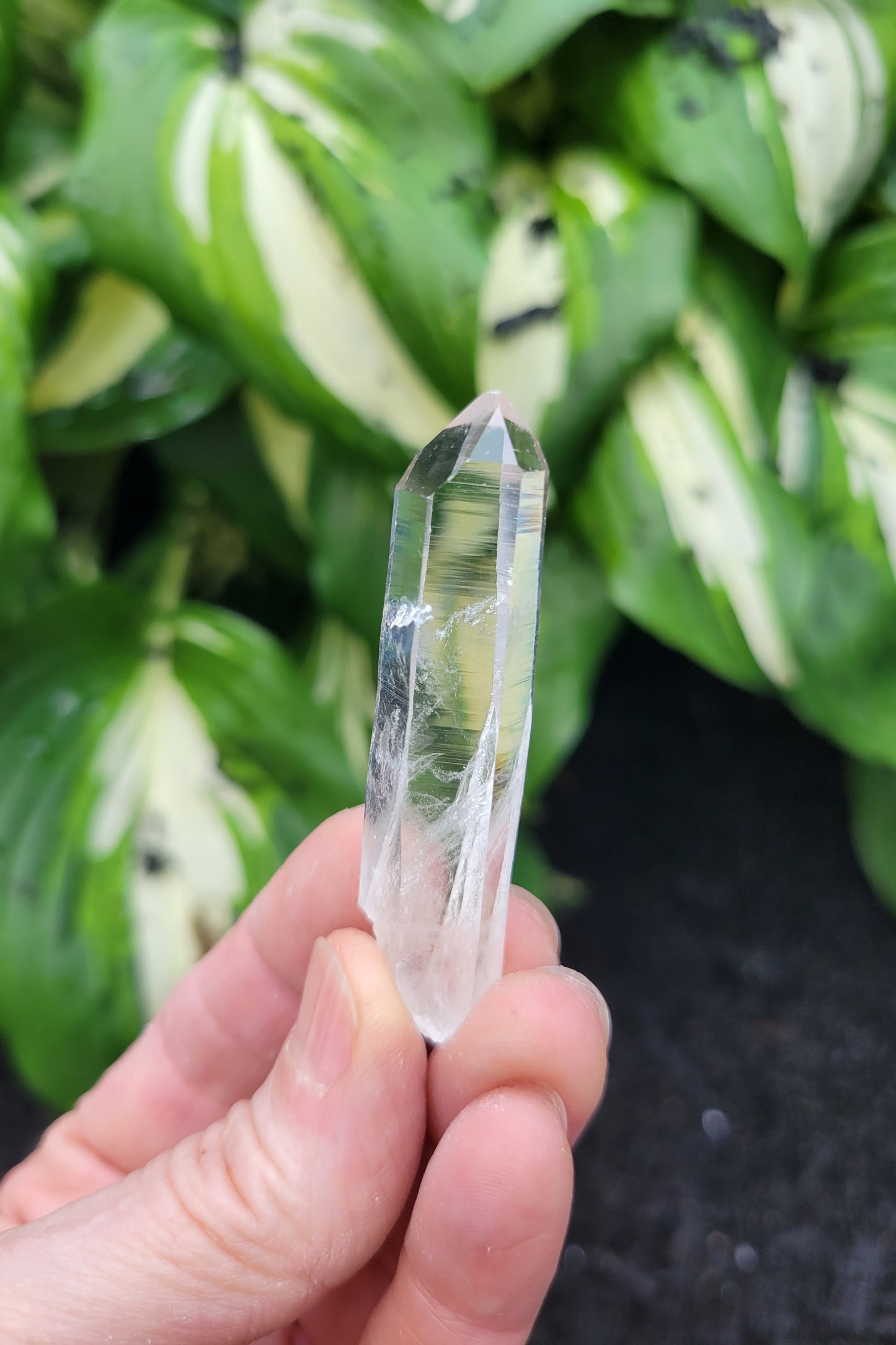 Quartz (Parcel of Six) from Colombia