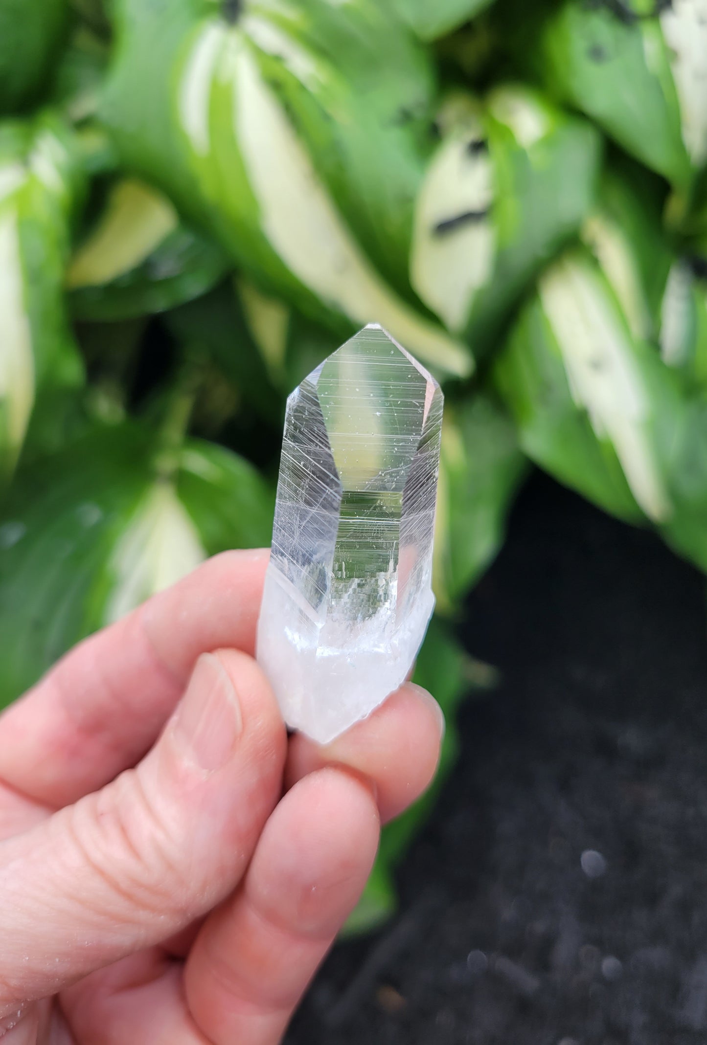 Quartz (Parcel of Six) from Colombia