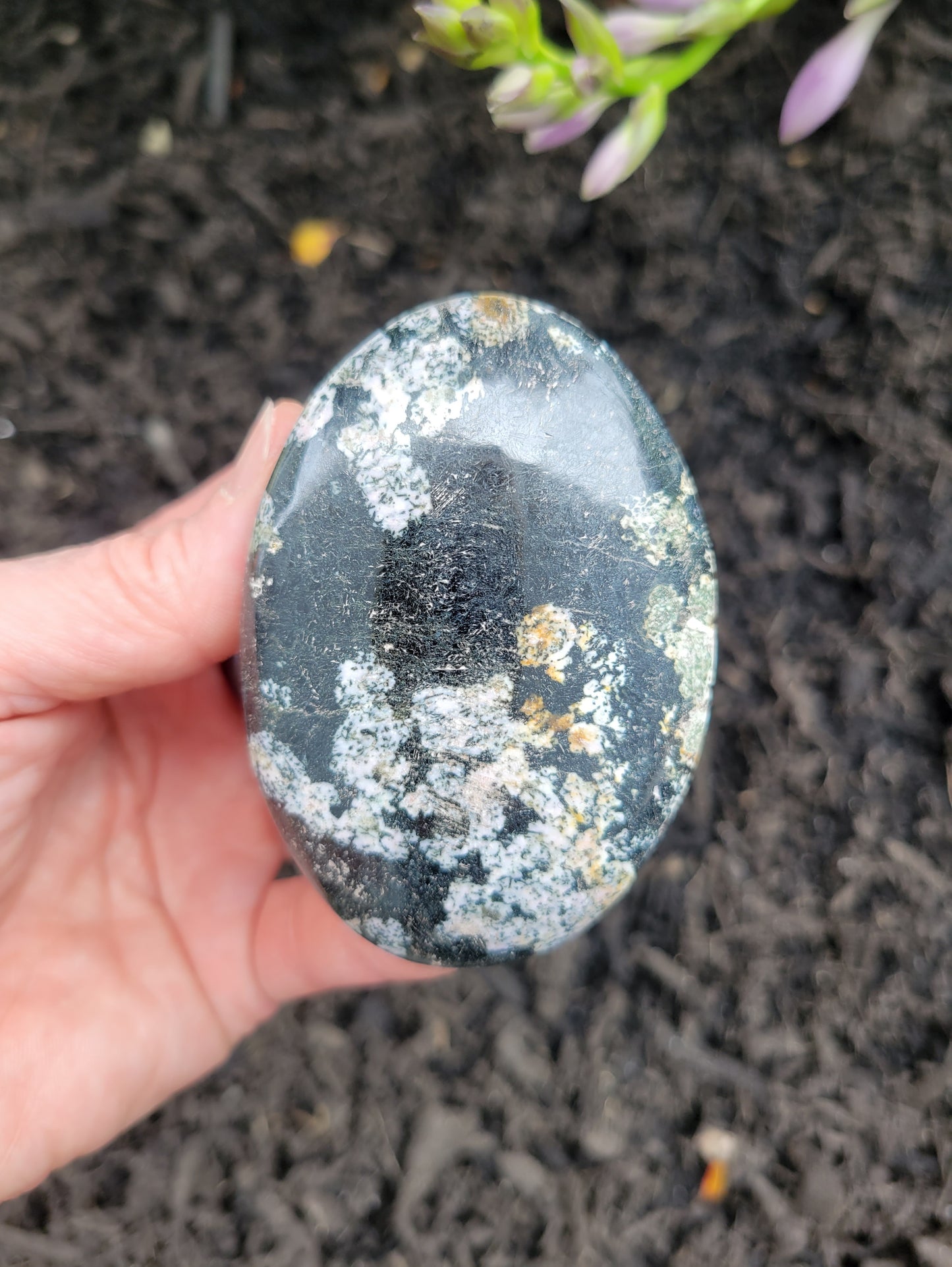 Obsidian (Snowflake) Palm Stone from Pakistan