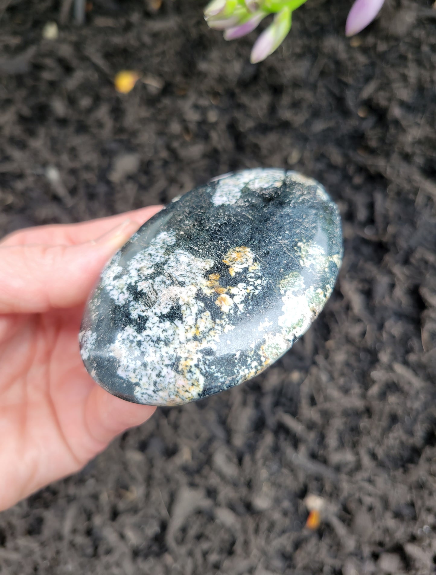 Obsidian (Snowflake) Palm Stone from Pakistan