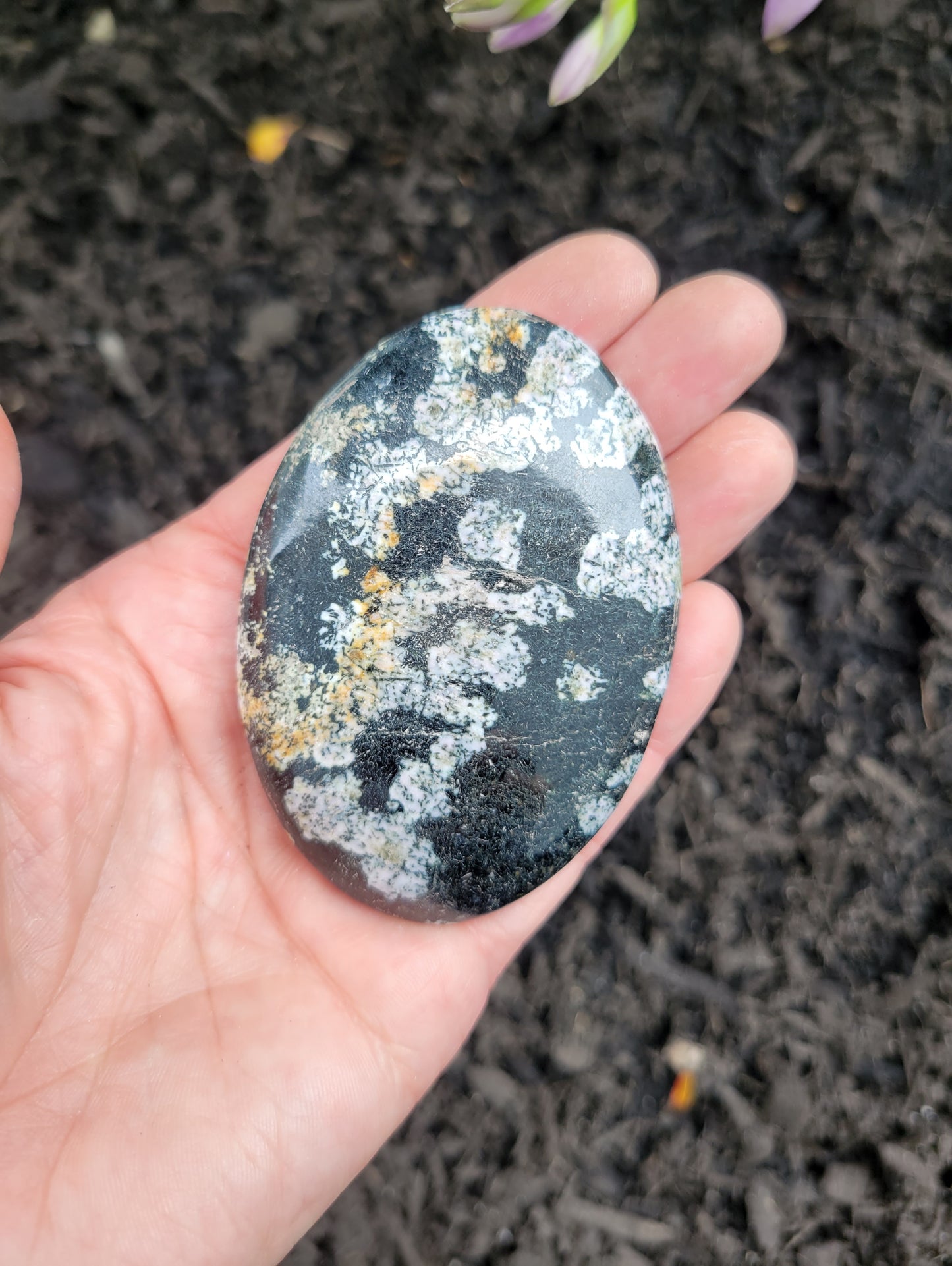 Obsidian (Snowflake) Palm Stone from Pakistan