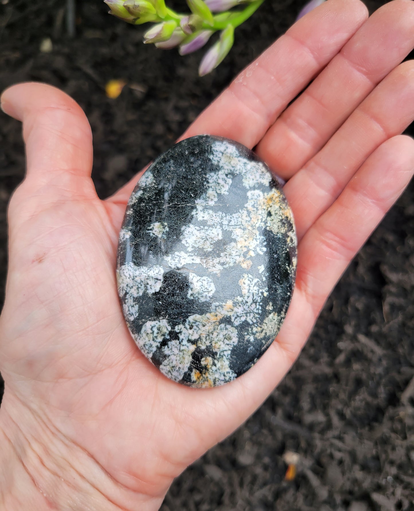 Obsidian (Snowflake) Palm Stone from Pakistan
