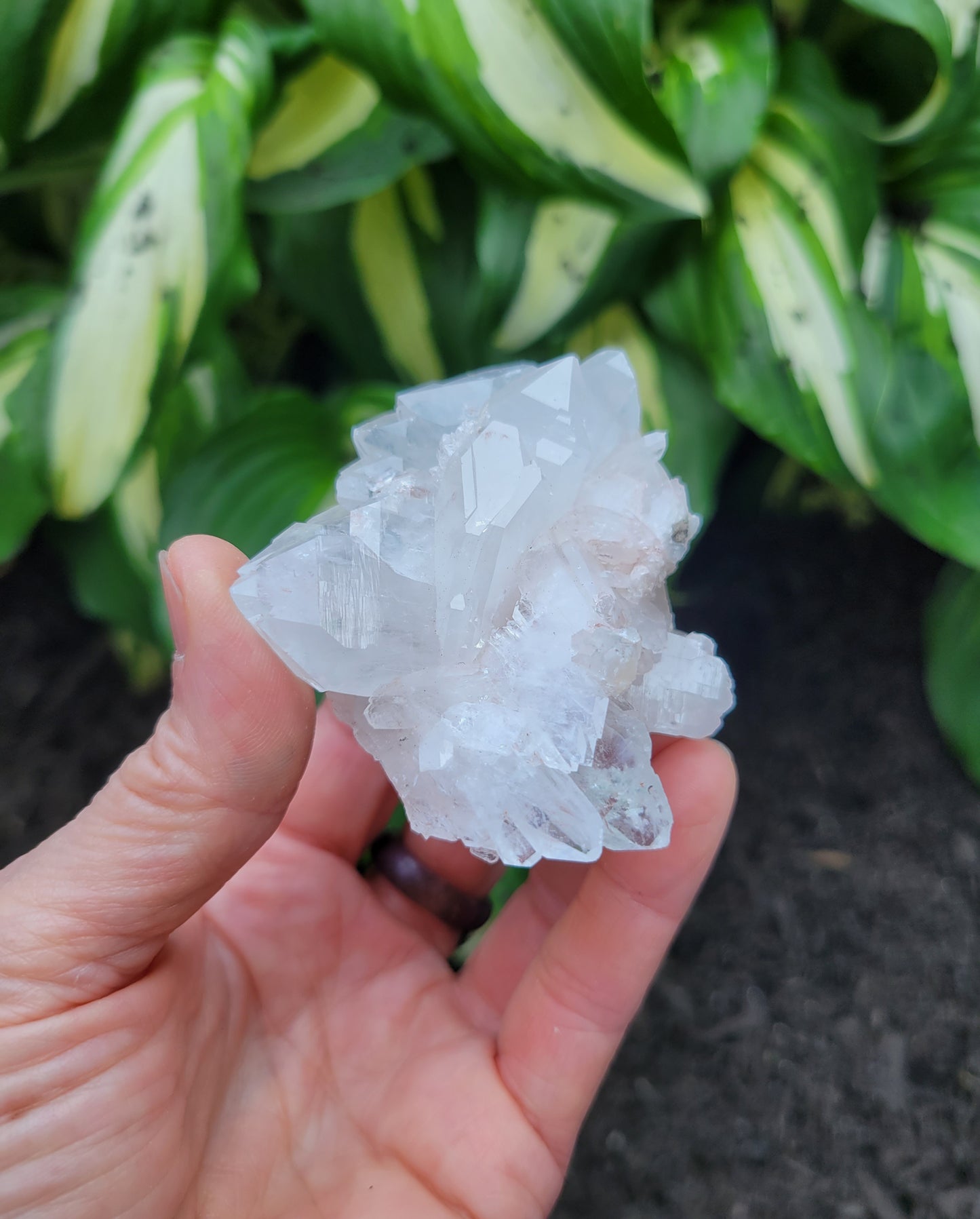 Quartz (Pink Faden) from Santander, Colombia