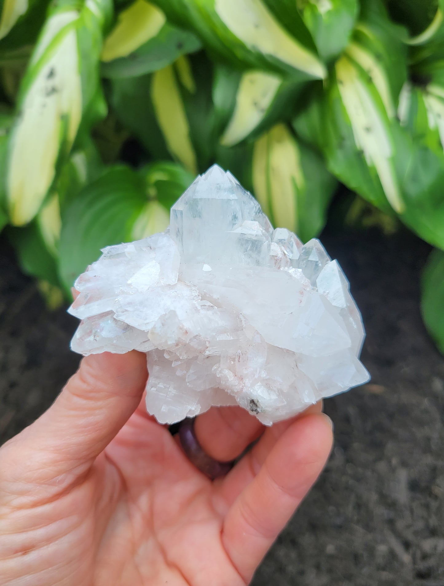 Quartz (Pink Faden) from Santander, Colombia