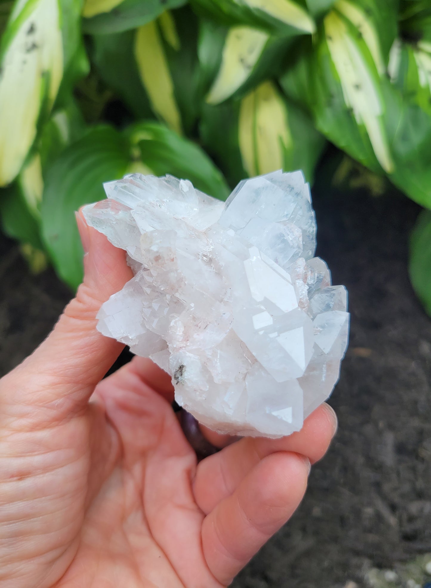 Quartz (Pink Faden) from Santander, Colombia