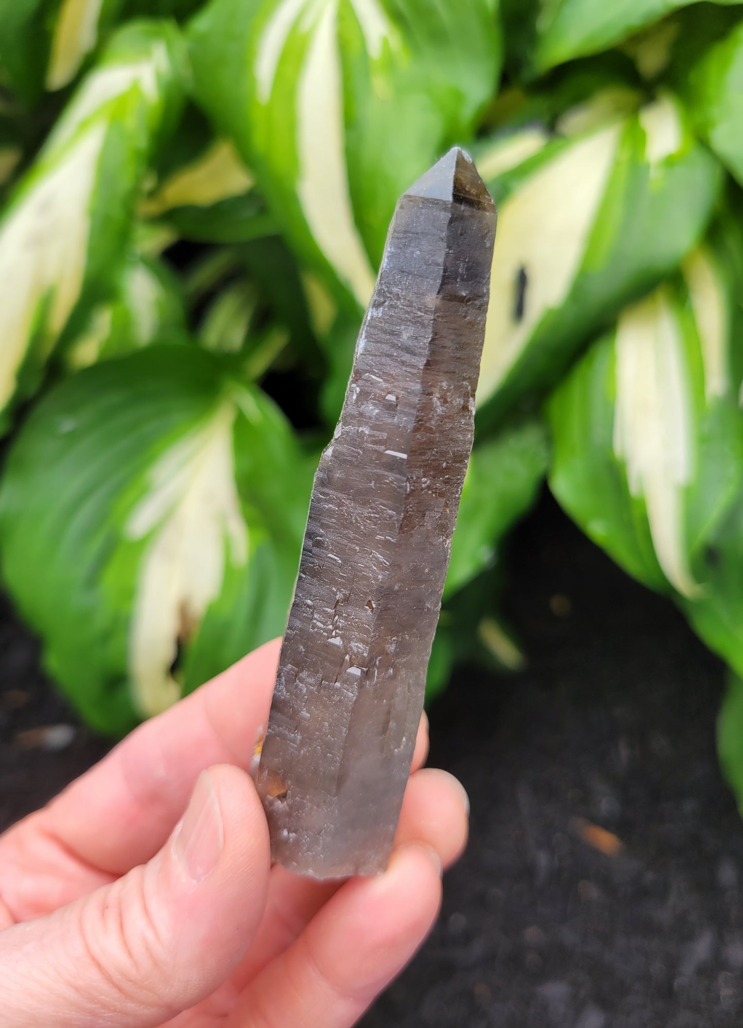 Quartz (Smokey with Phantom) from South Africa