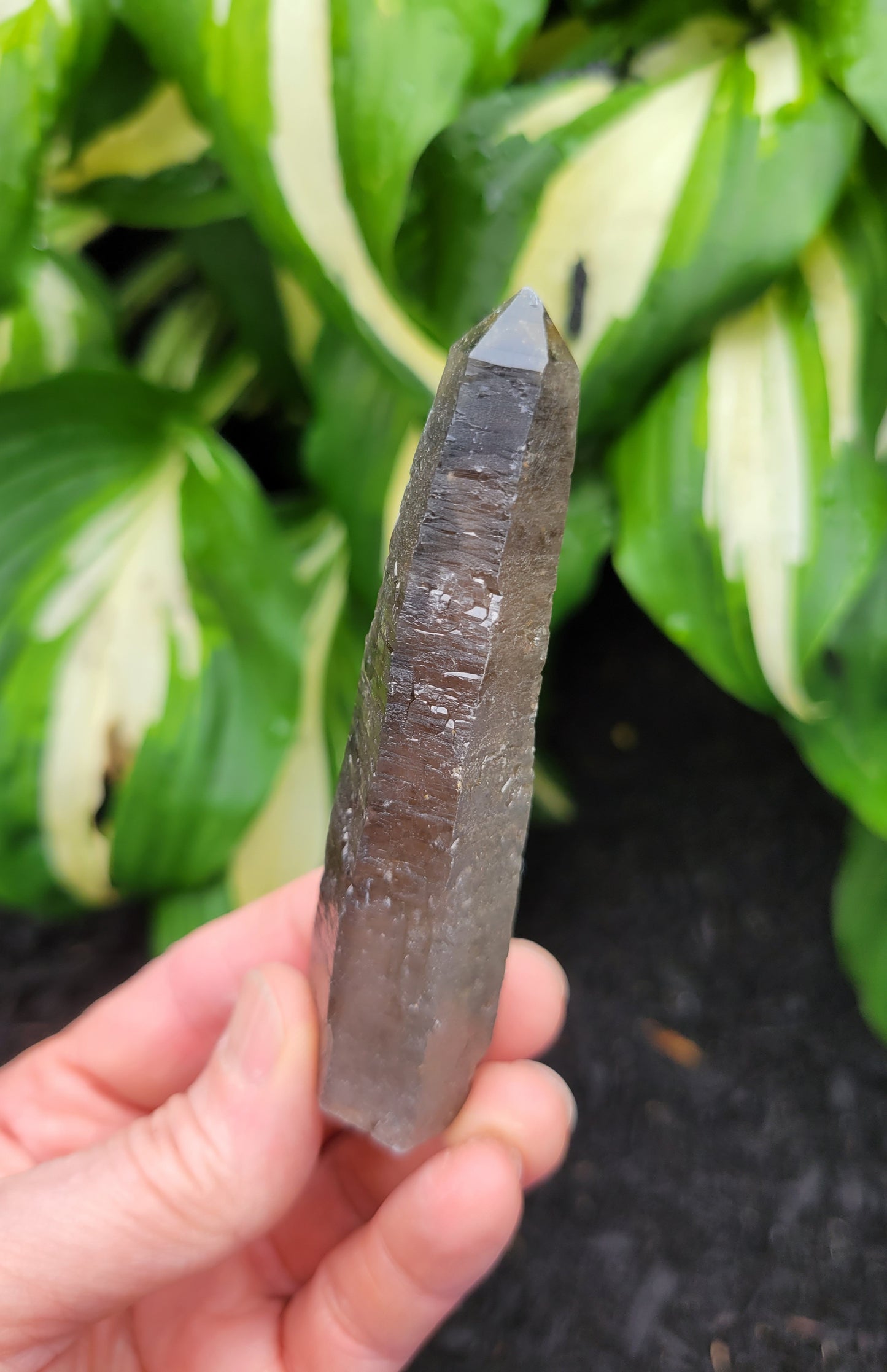 Quartz (Smokey with Phantom) from South Africa
