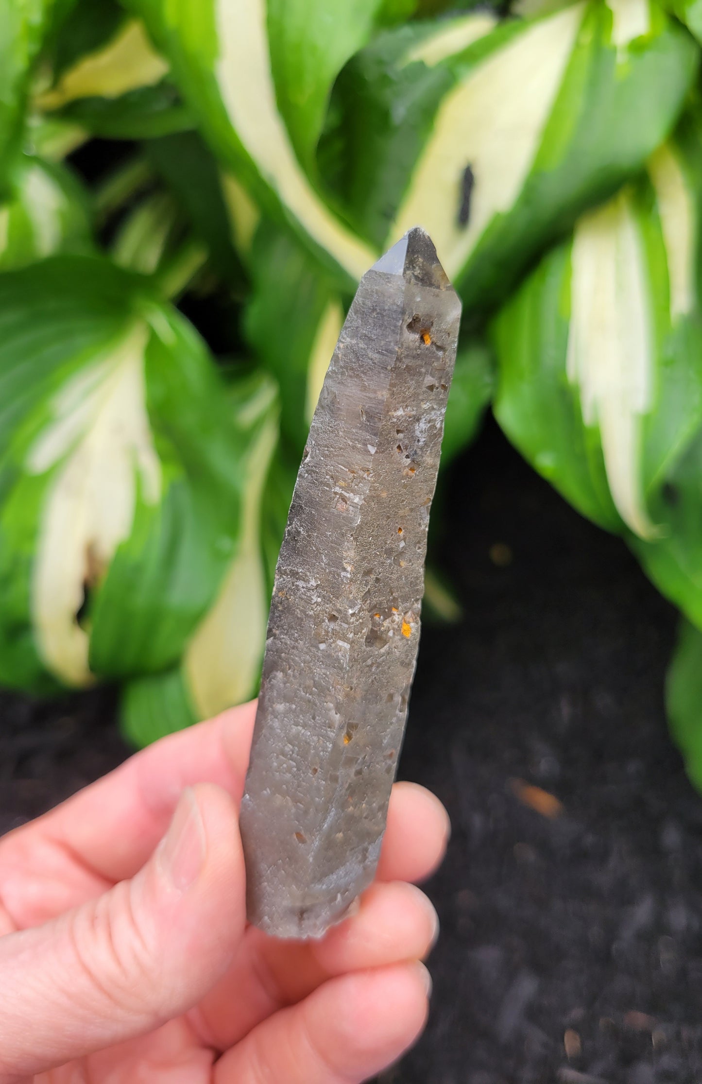 Quartz (Smokey with Phantom) from South Africa