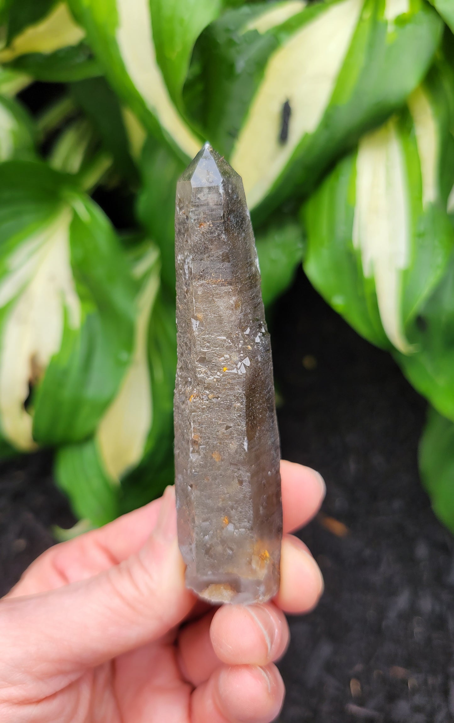 Quartz (Smokey with Phantom) from South Africa