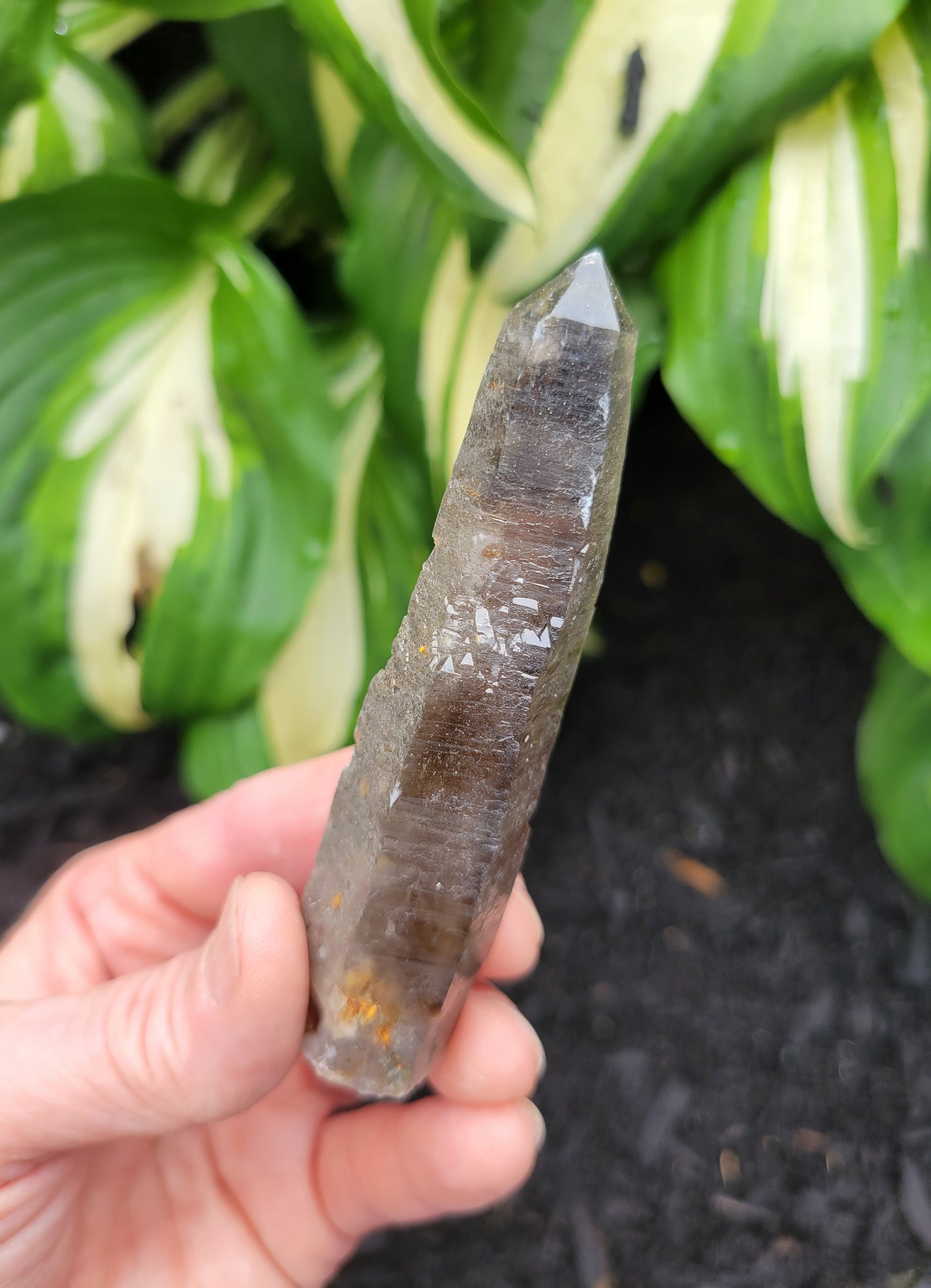 Quartz (Smokey with Phantom) from South Africa