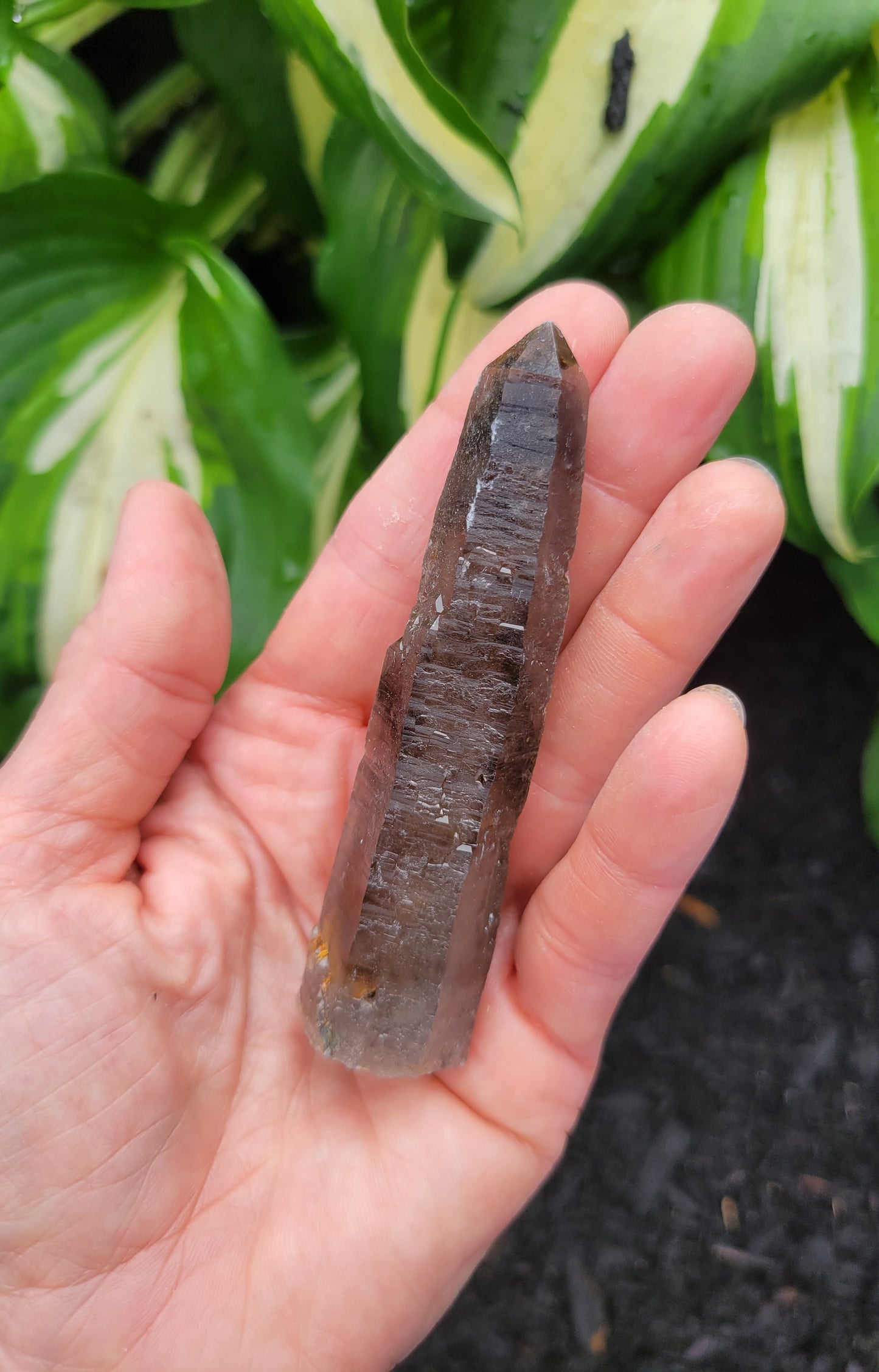 Quartz (Smokey with Phantom) from South Africa