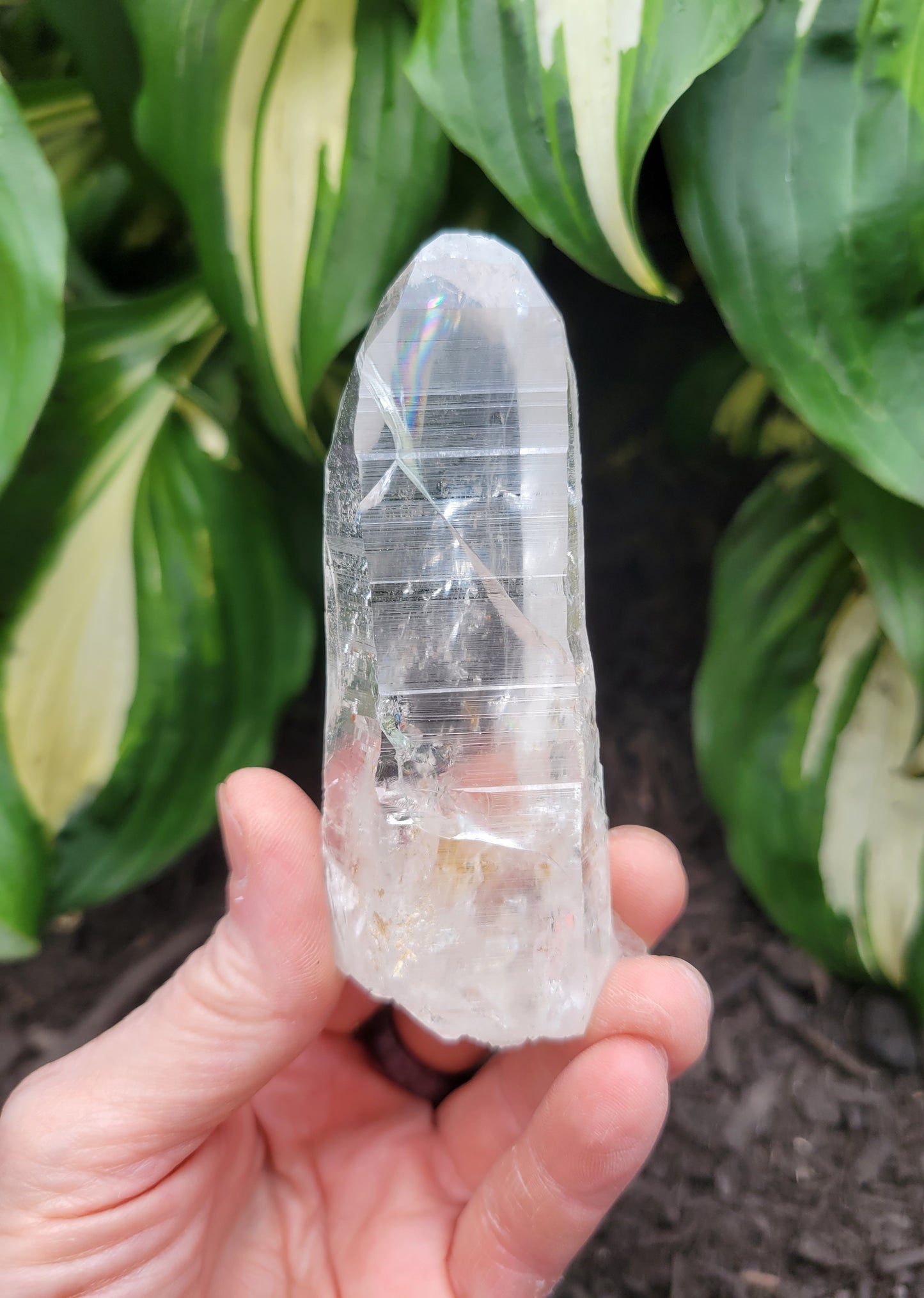 Quartz (Lemurian) from Colombia