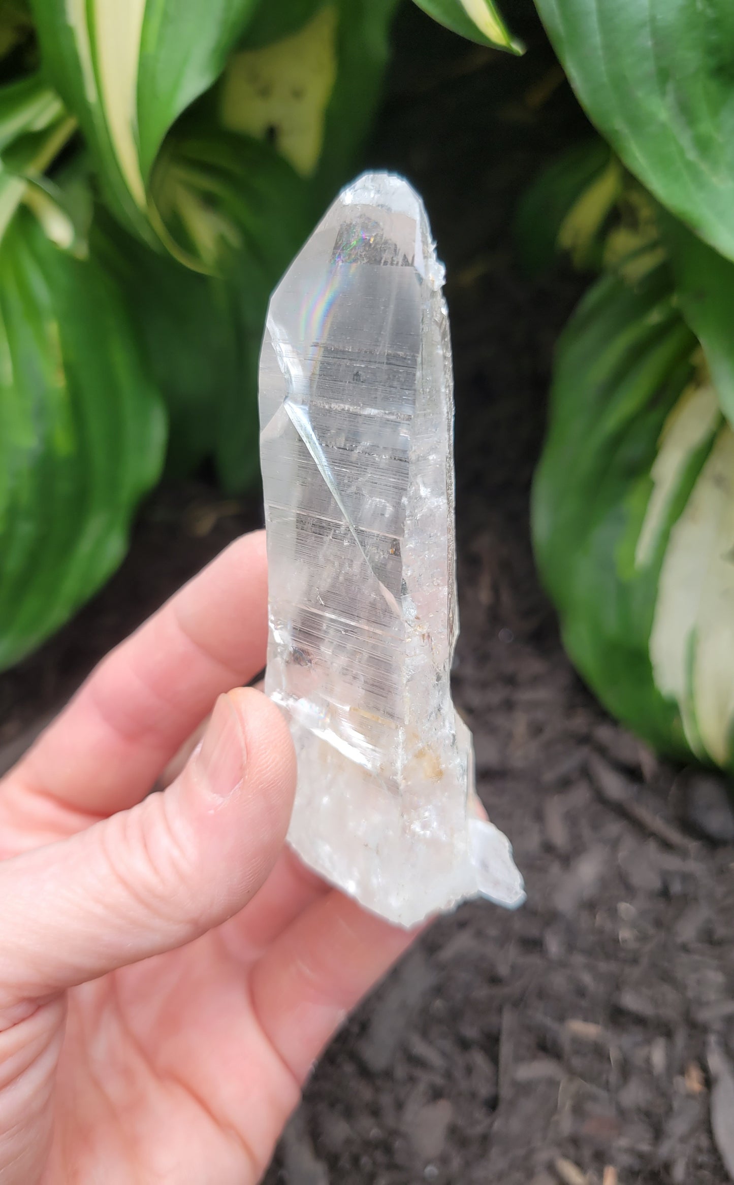 Quartz (Lemurian) from Colombia