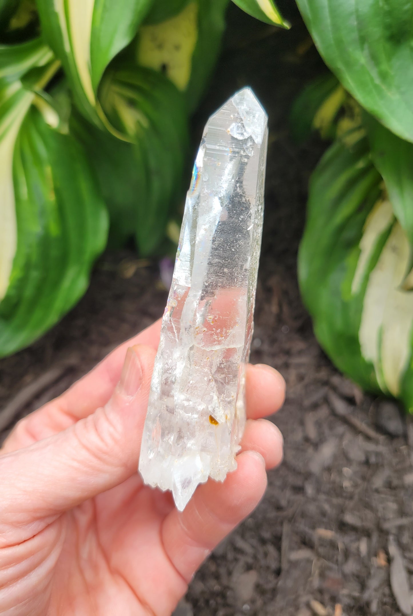 Quartz (Lemurian) from Colombia