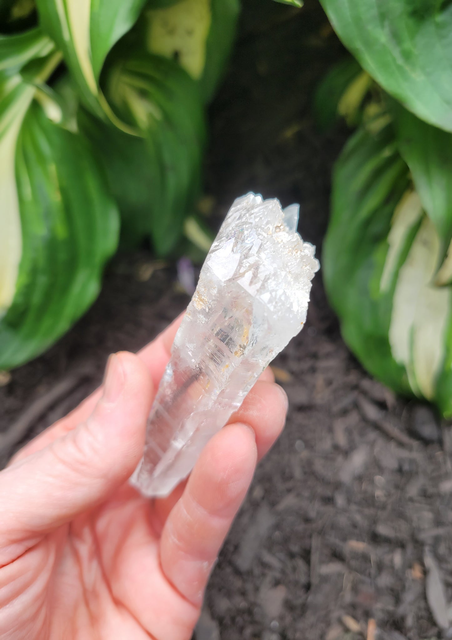 Quartz (Lemurian) from Colombia