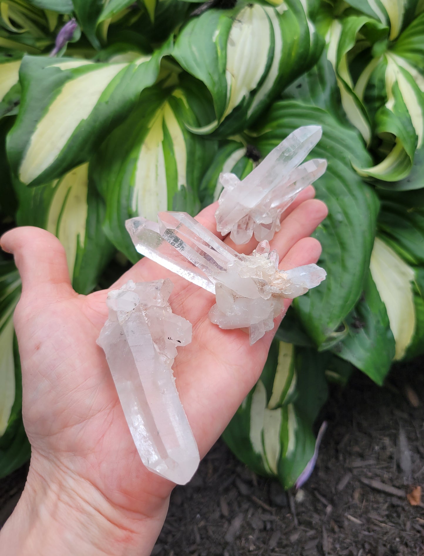 Quartz (Himalayan Samadhi - set of 3) from Himachal Pradesh, India