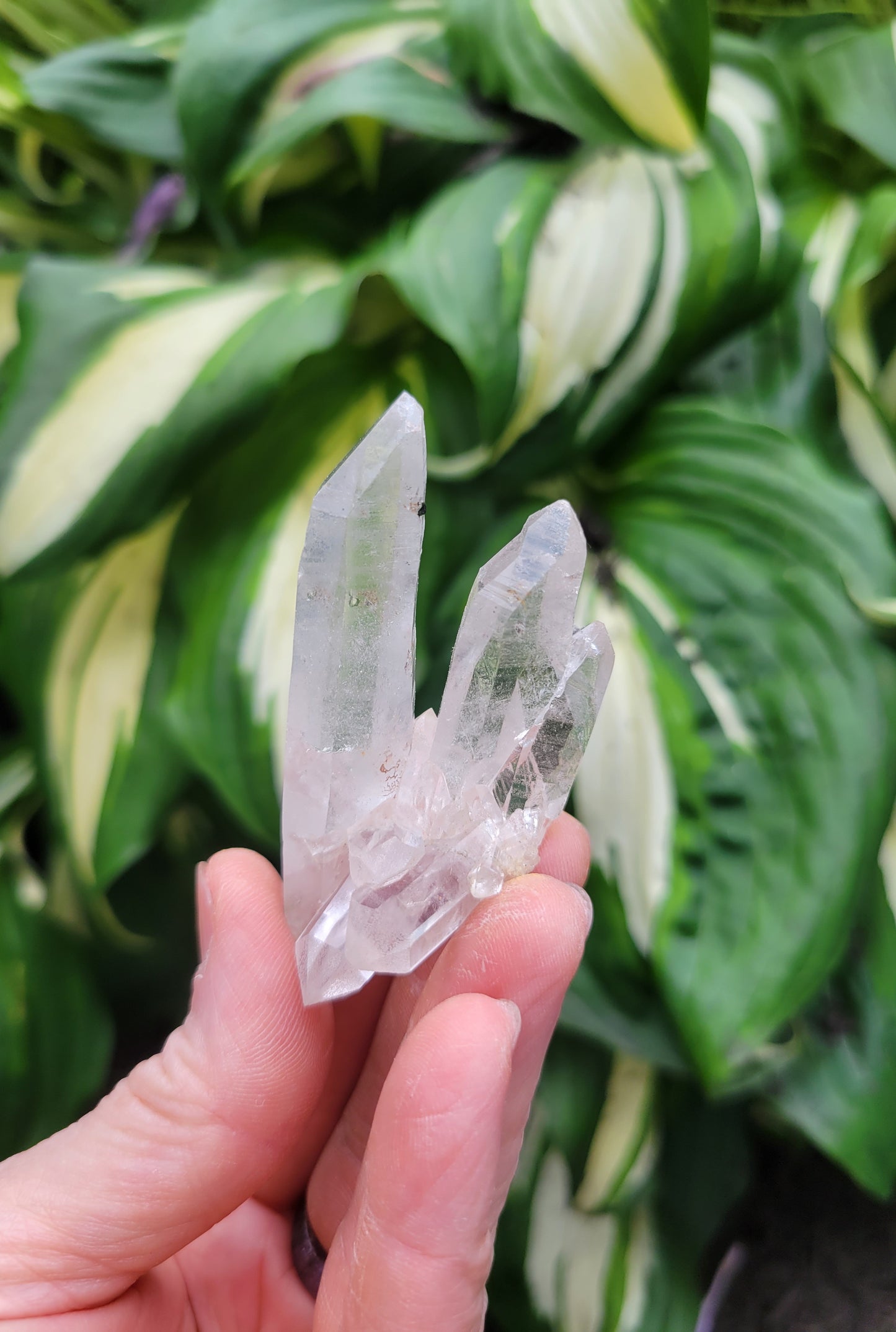 Quartz (Himalayan Samadhi - set of 3) from Himachal Pradesh, India