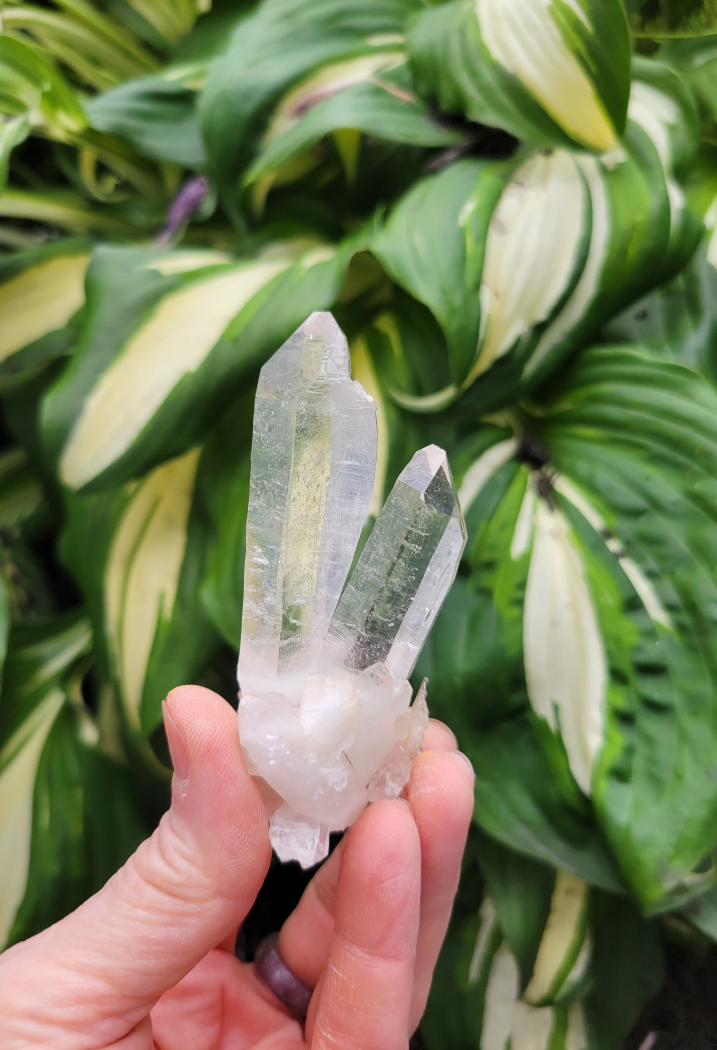 Quartz (Himalayan Samadhi - set of 3) from Himachal Pradesh, India