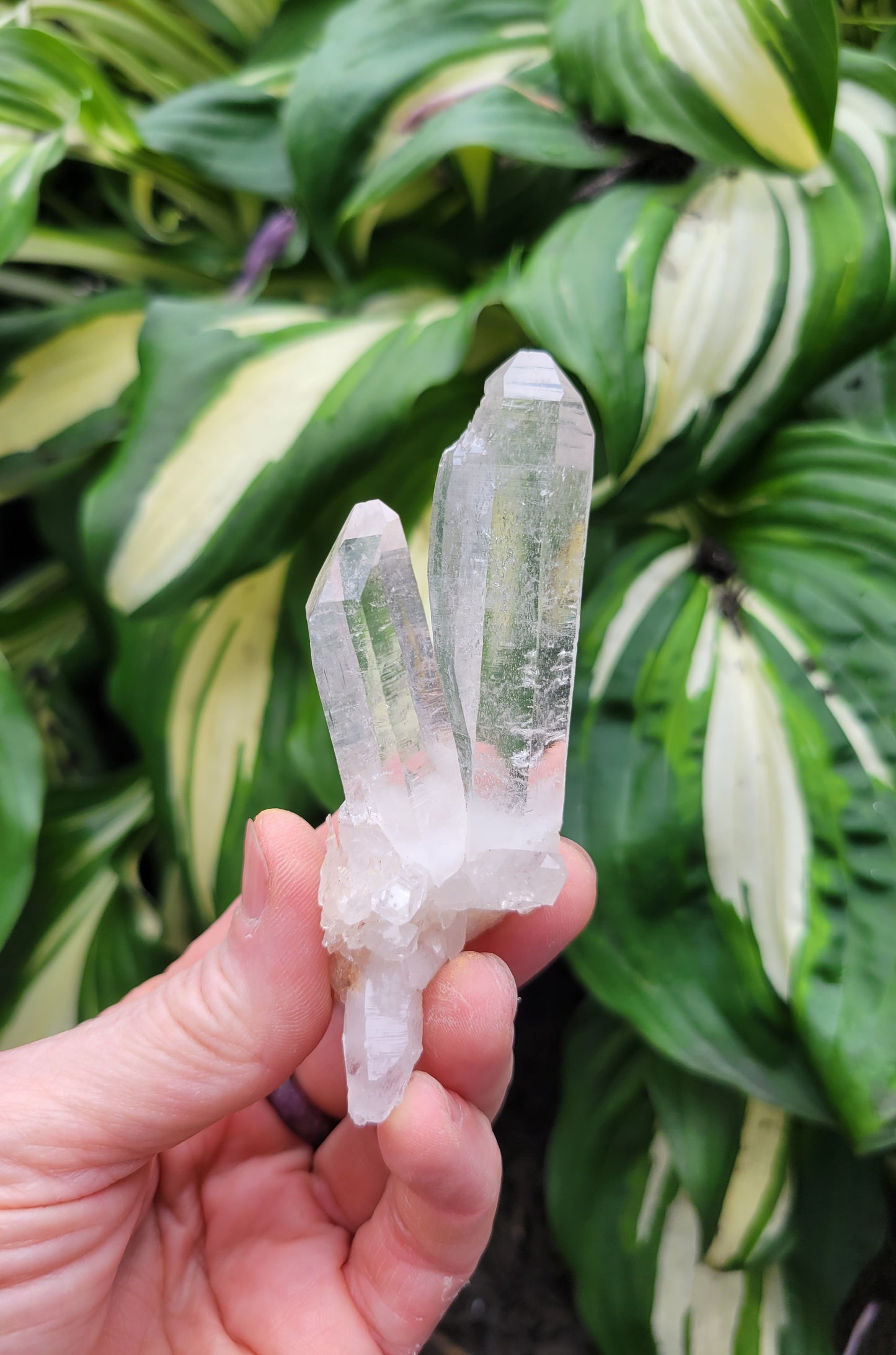 Quartz (Himalayan Samadhi - set of 3) from Himachal Pradesh, India