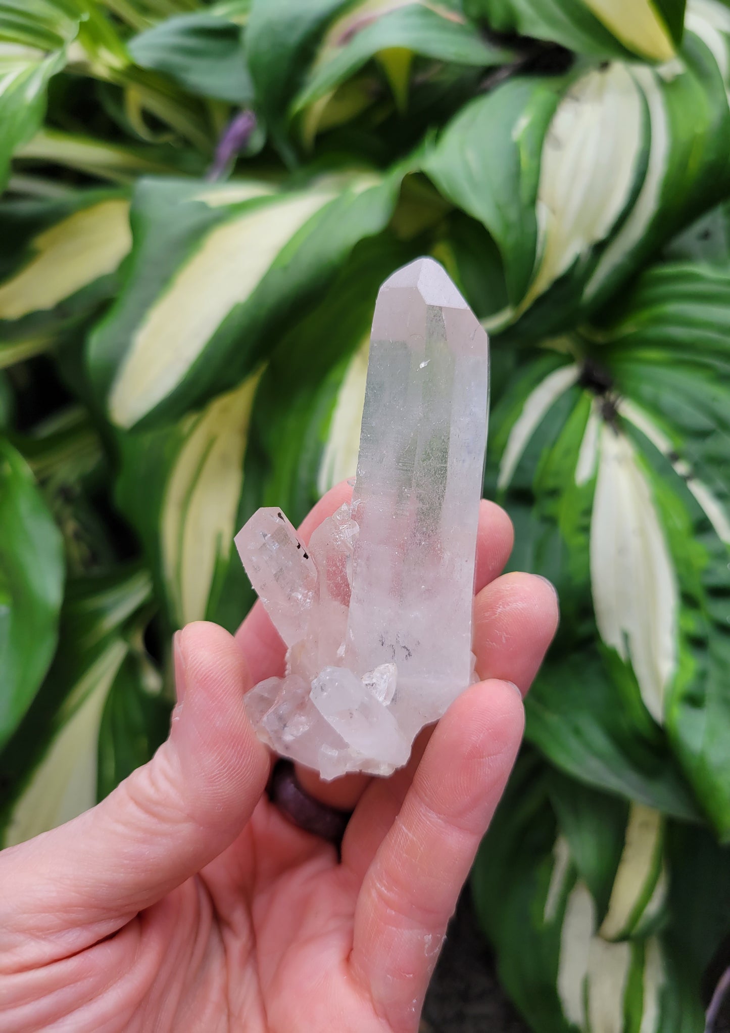 Quartz (Himalayan Samadhi - set of 3) from Himachal Pradesh, India