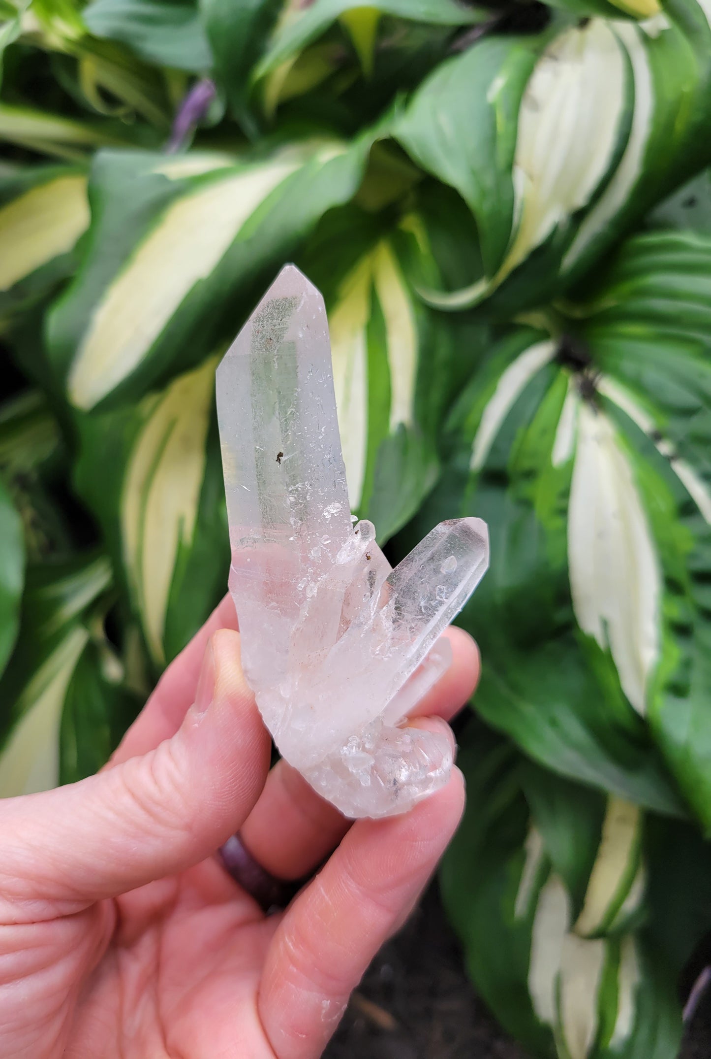 Quartz (Himalayan Samadhi - set of 3) from Himachal Pradesh, India