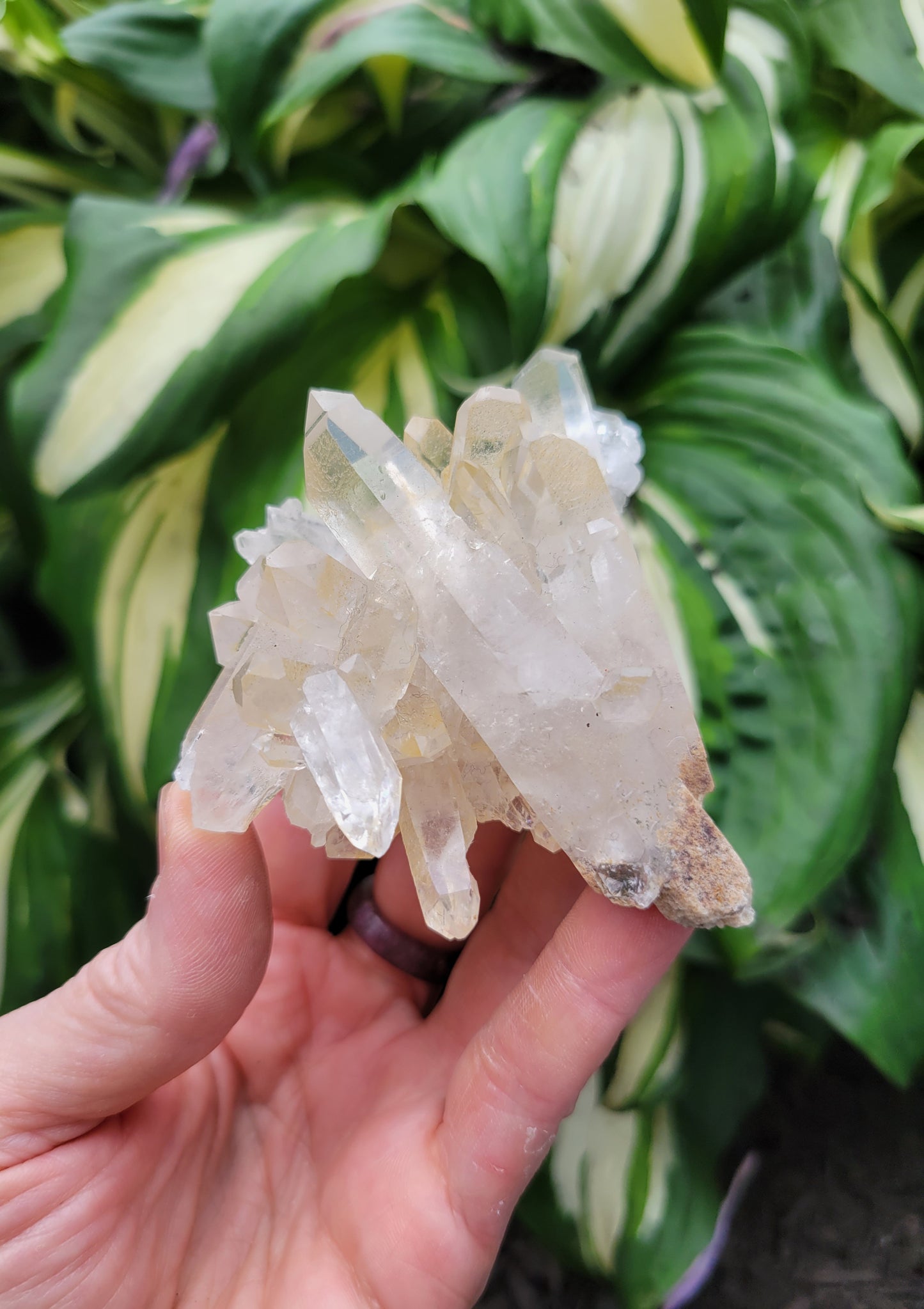 Quartz Cluster from Brazil