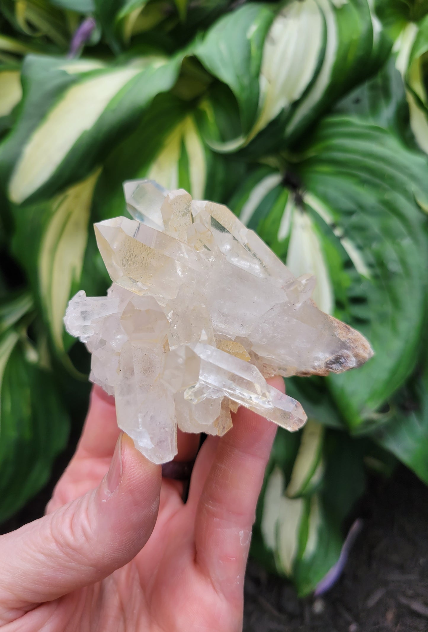 Quartz Cluster from Brazil
