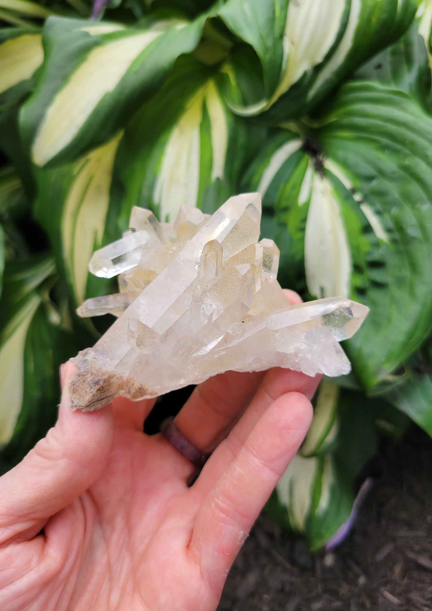 Quartz Cluster from Brazil