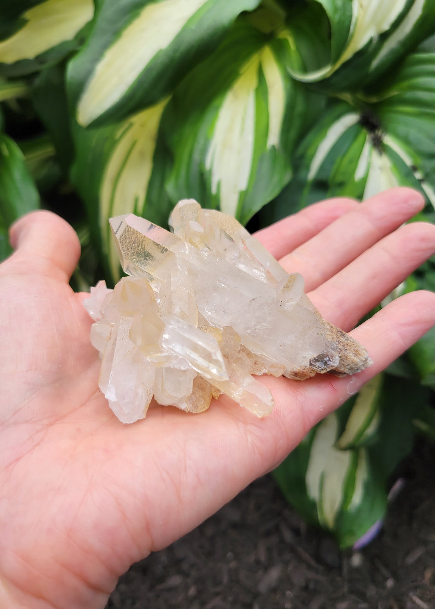 Quartz Cluster from Brazil