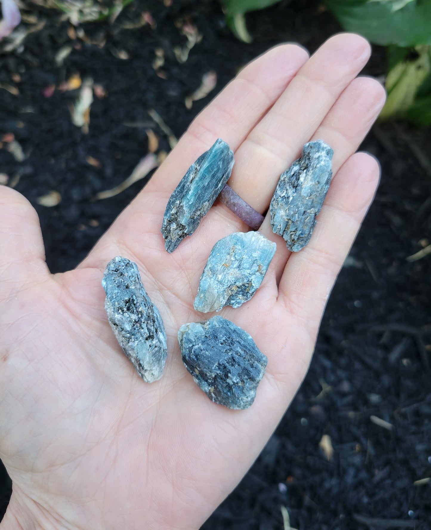 Tricolor Kyanite from Brazil (7 grams)