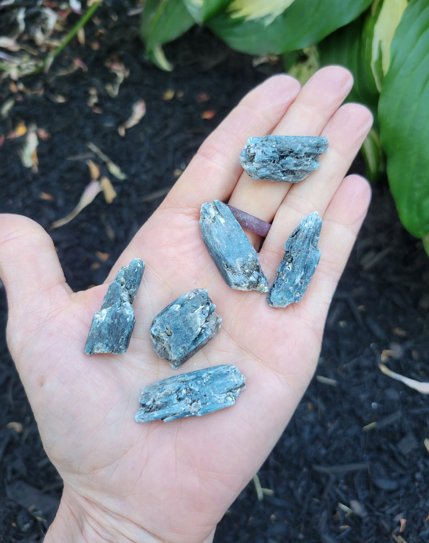 Tricolor Kyanite from Brazil (7 grams)