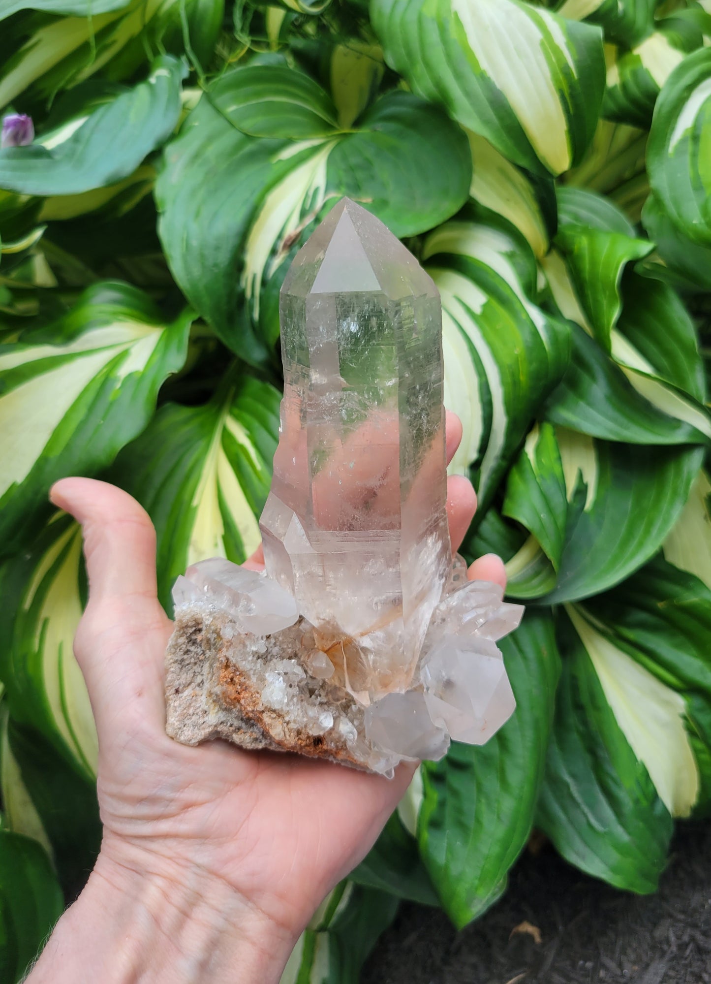 Quartz (Rutilated & Himalayan) from India