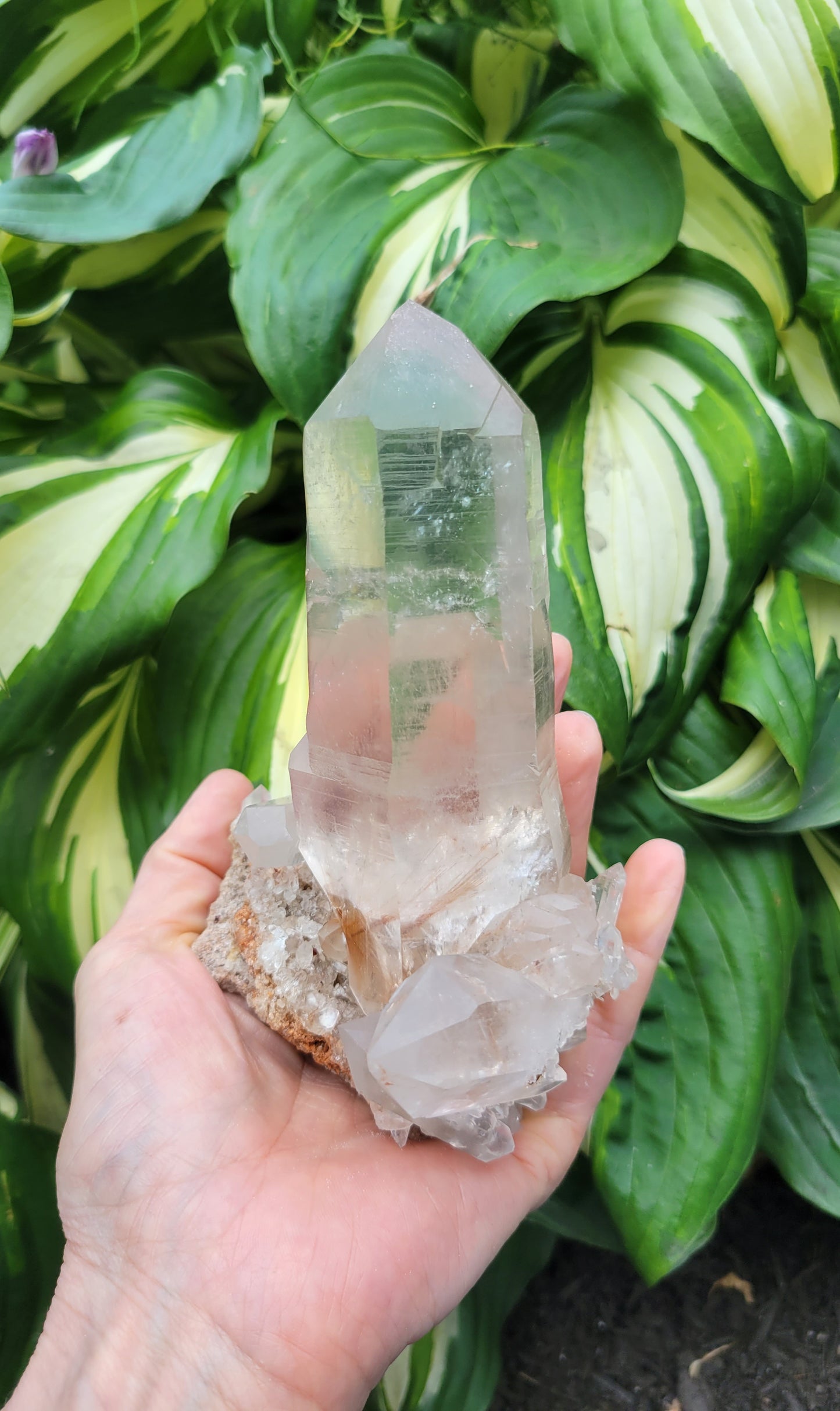 Quartz (Rutilated & Himalayan) from India